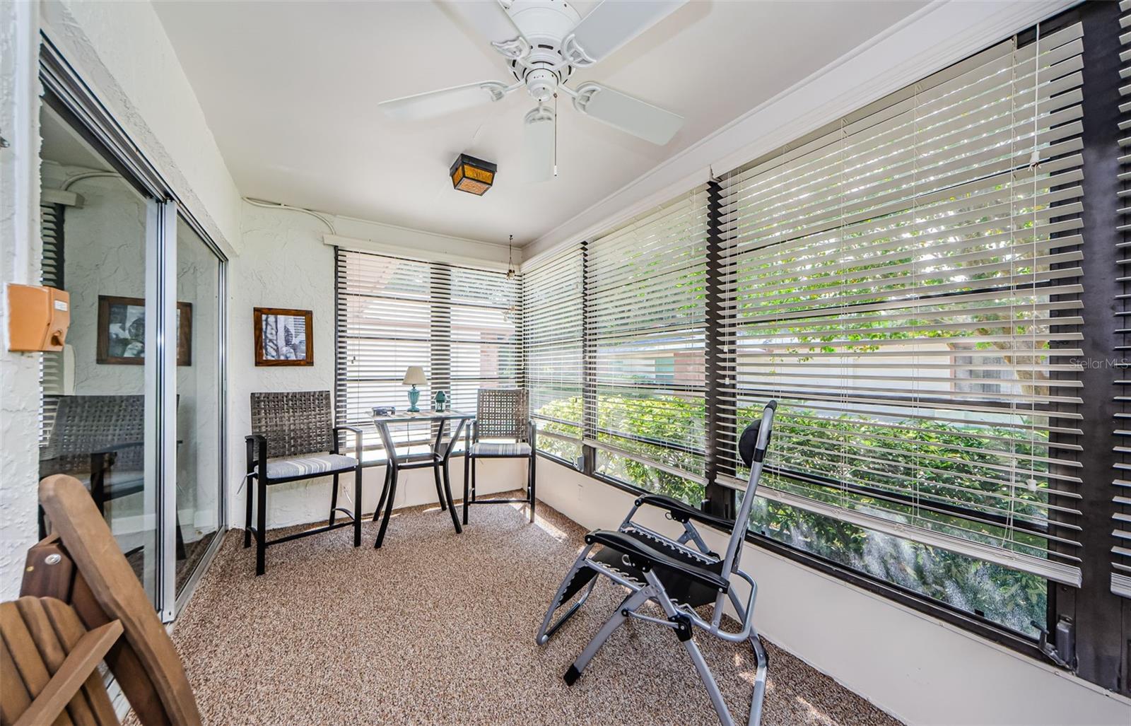 2241 SHELLY DR #B, PALM HARBOR, FL, 34684