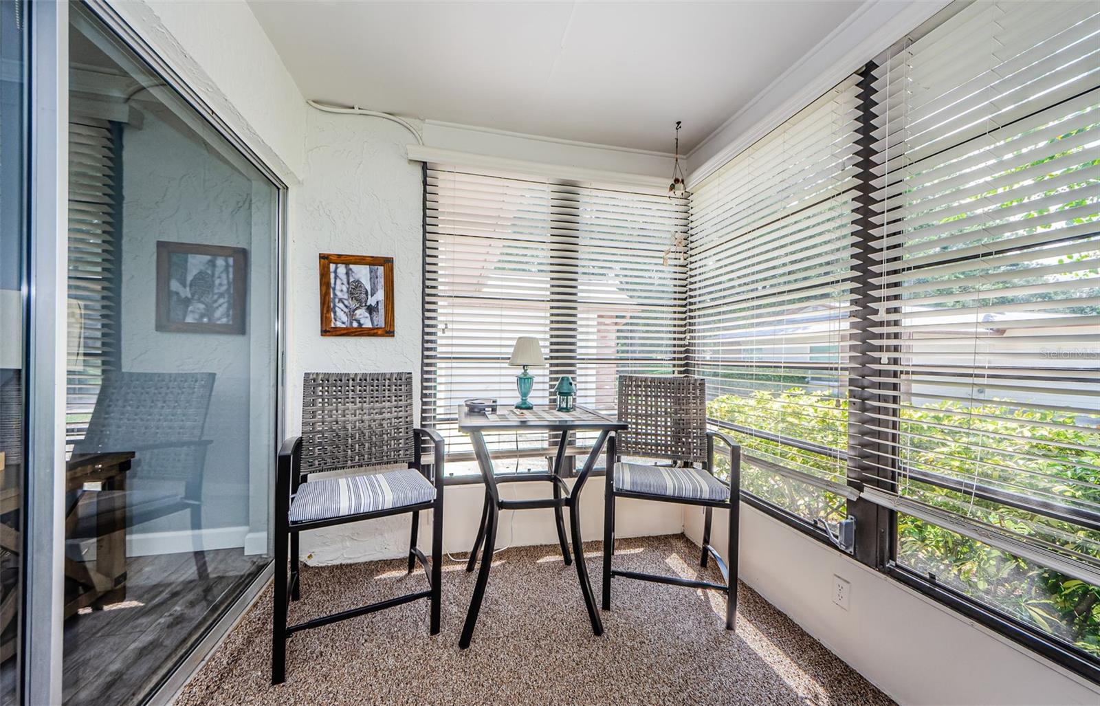 2241 SHELLY DR #B, PALM HARBOR, FL, 34684