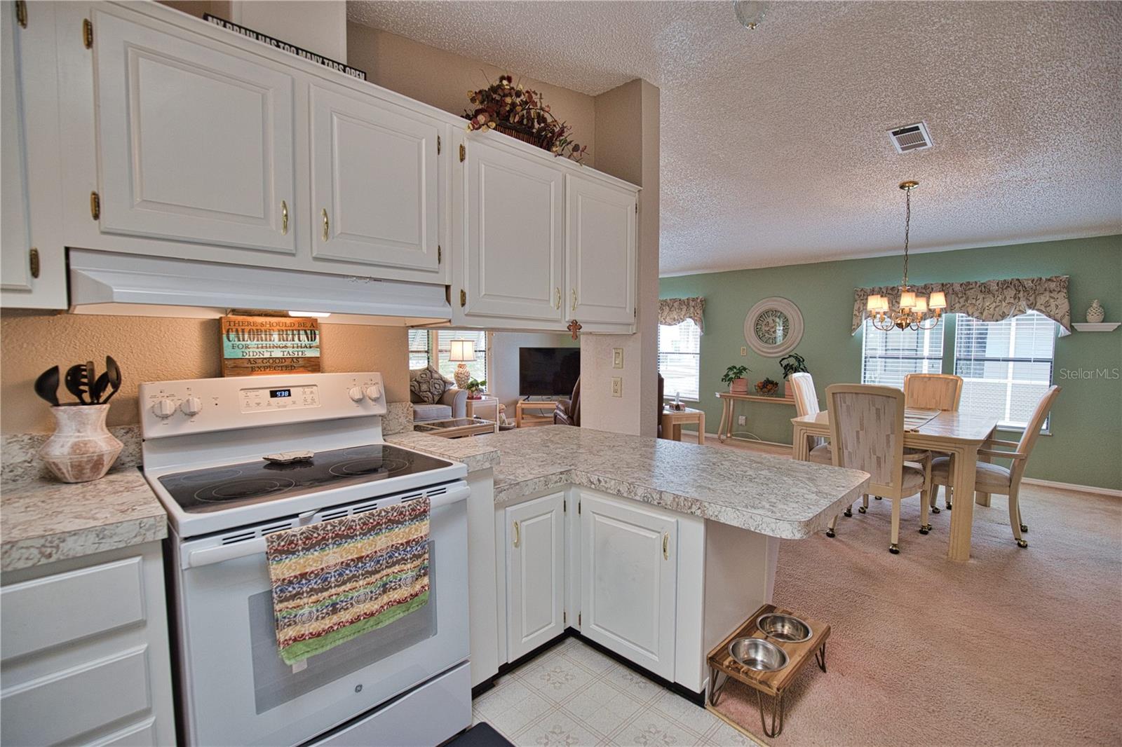 223 HIBISCO DR, NORTH PORT, FL, 34287