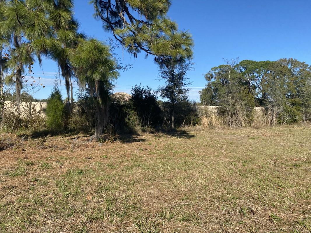 61ST ST, SARASOTA, FL, 34243