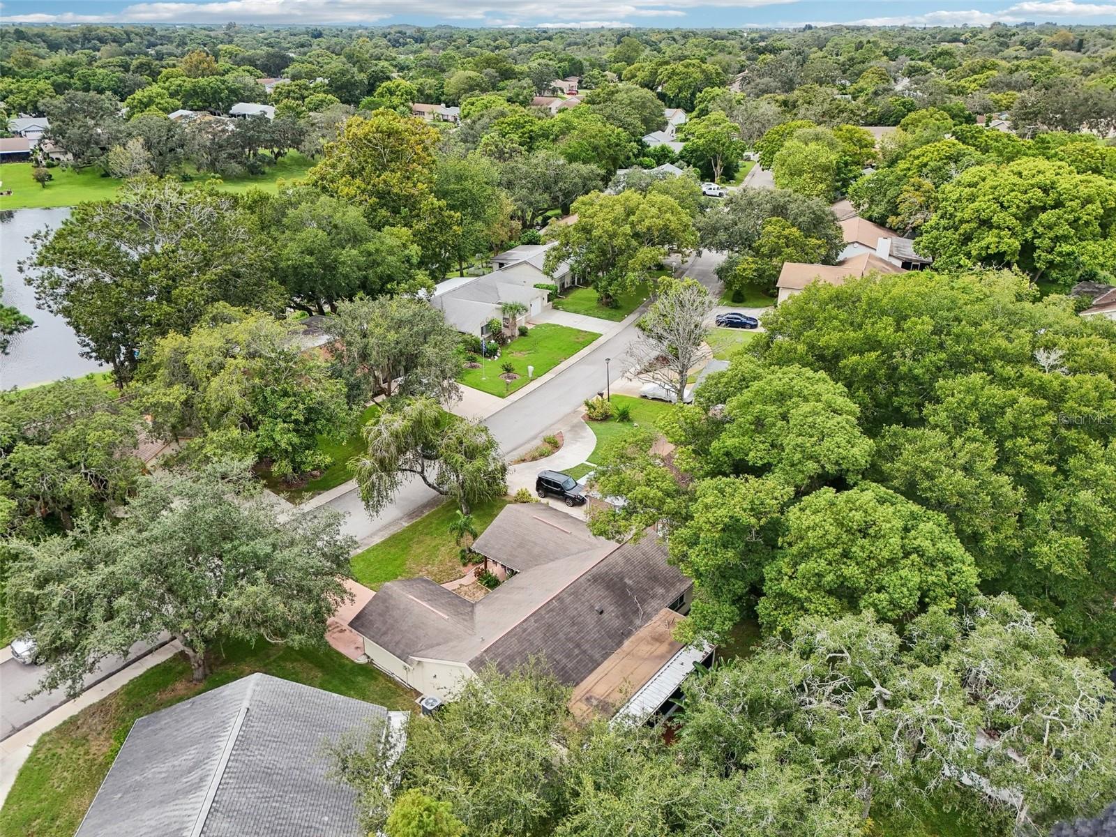 8803 MILL CREEK LN, HUDSON, FL, 34667