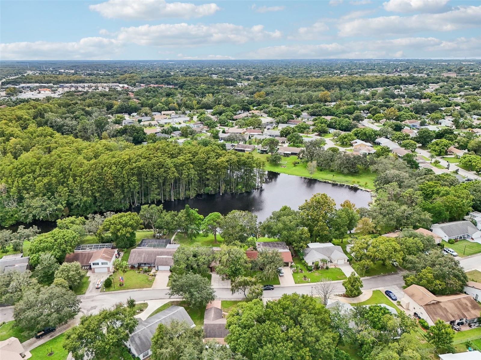 8803 MILL CREEK LN, HUDSON, FL, 34667