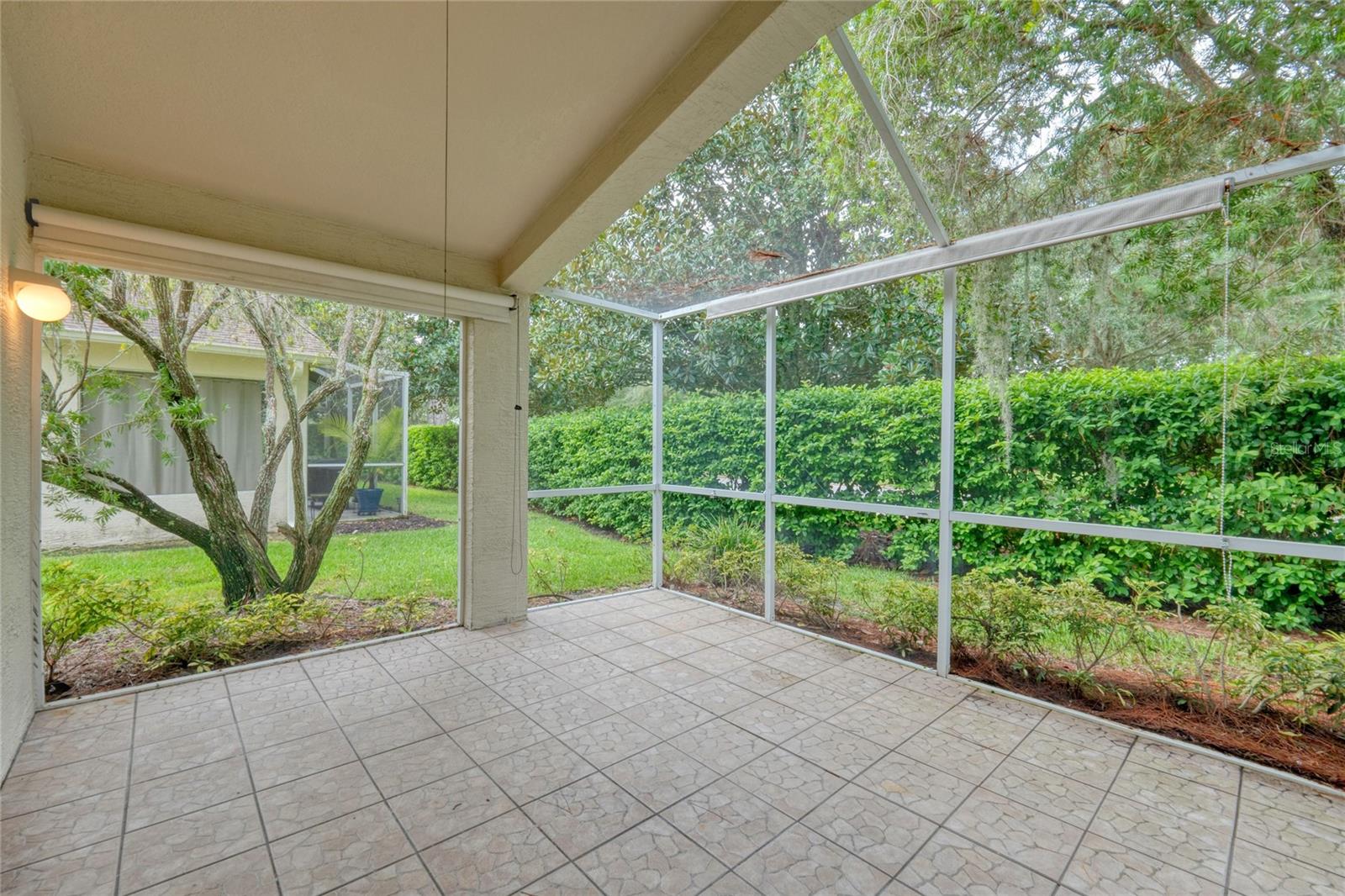 1331 HICKORY MOSS PL, TRINITY, FL, 34655