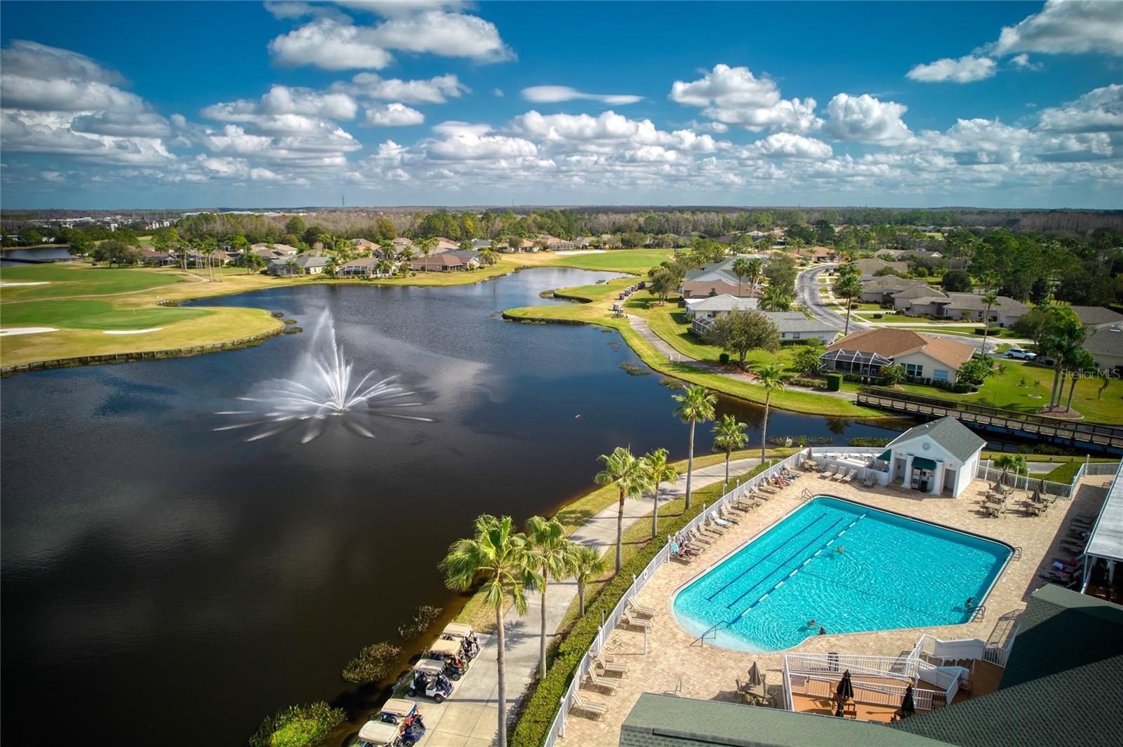 1331 HICKORY MOSS PL, TRINITY, FL, 34655