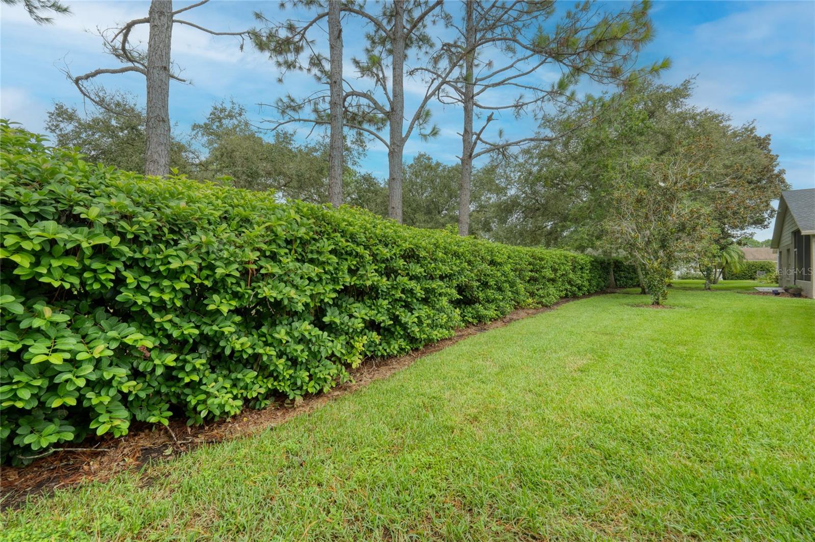 1331 HICKORY MOSS PL, TRINITY, FL, 34655