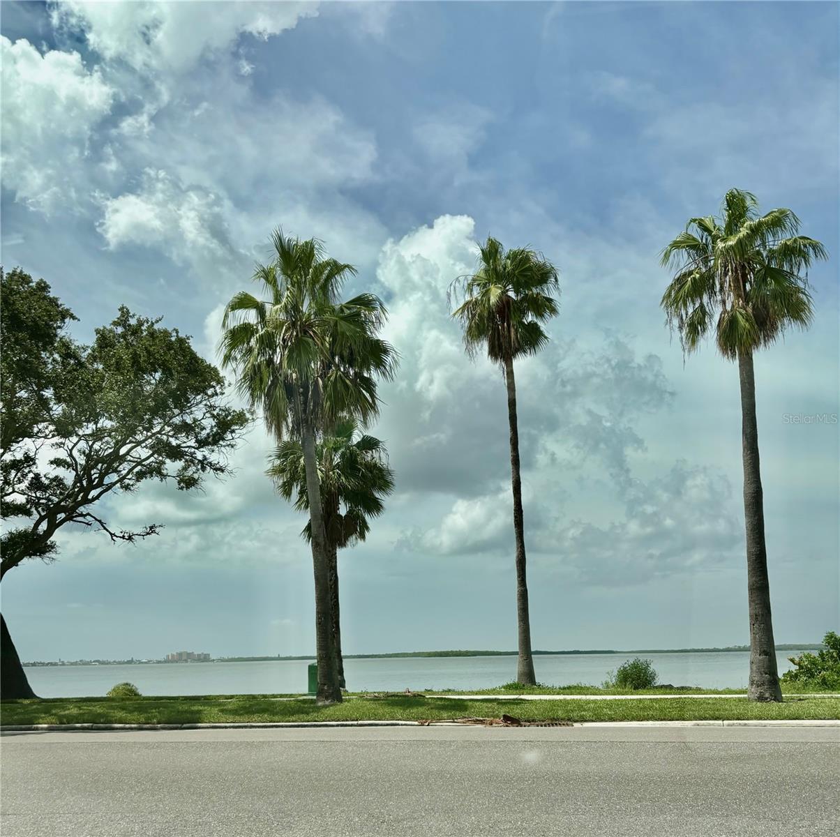 500 GLENNES LN #206, DUNEDIN, FL, 34698