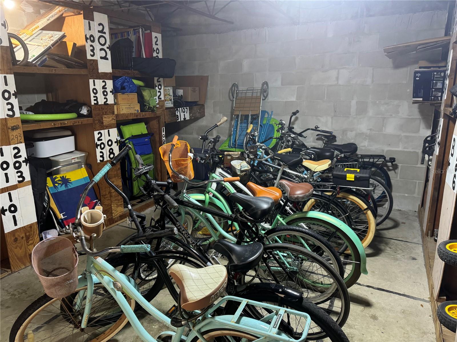 500 GLENNES LN #206, DUNEDIN, FL, 34698