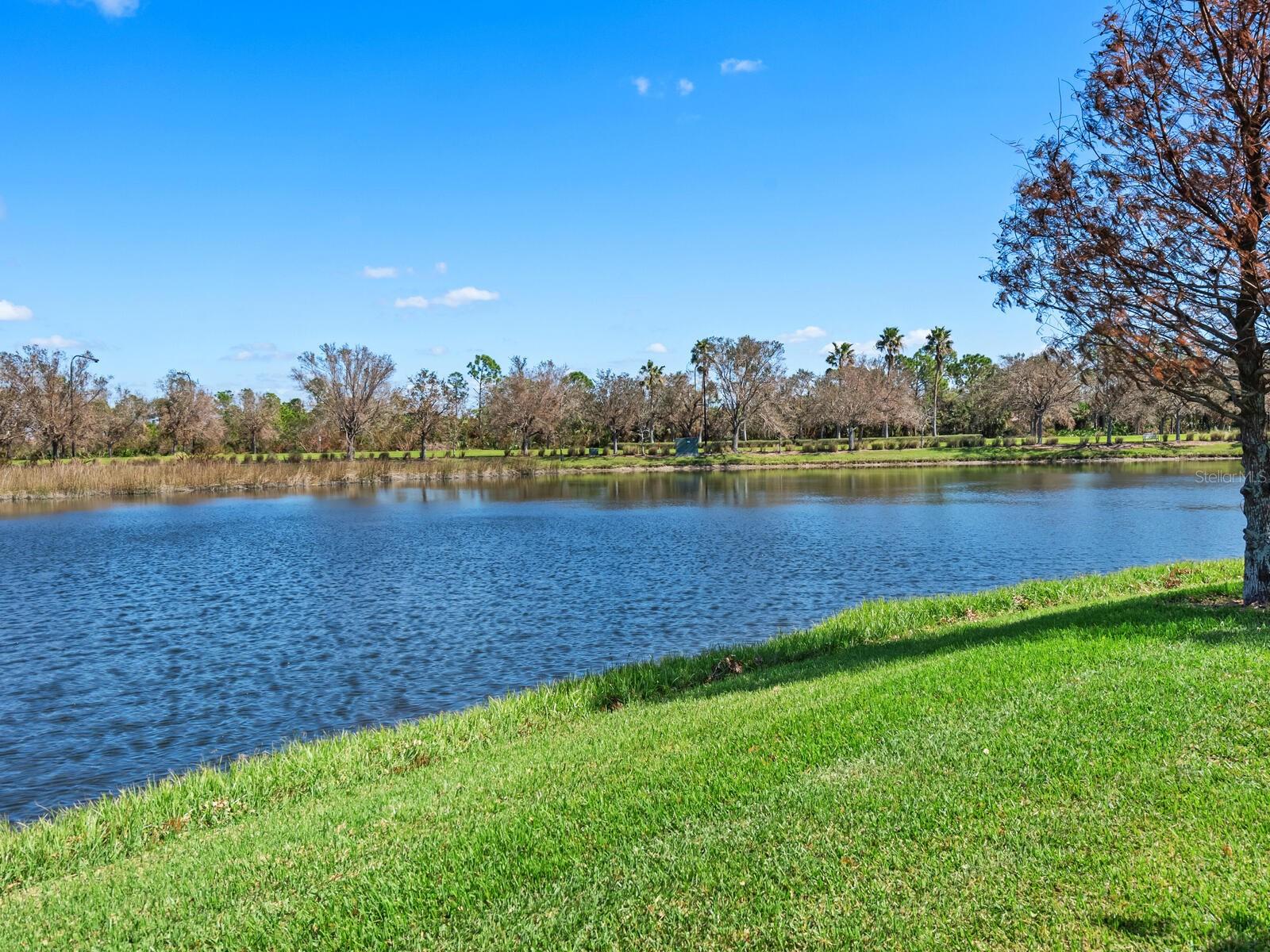 2096 BATELLO DR, VENICE, FL, 34292