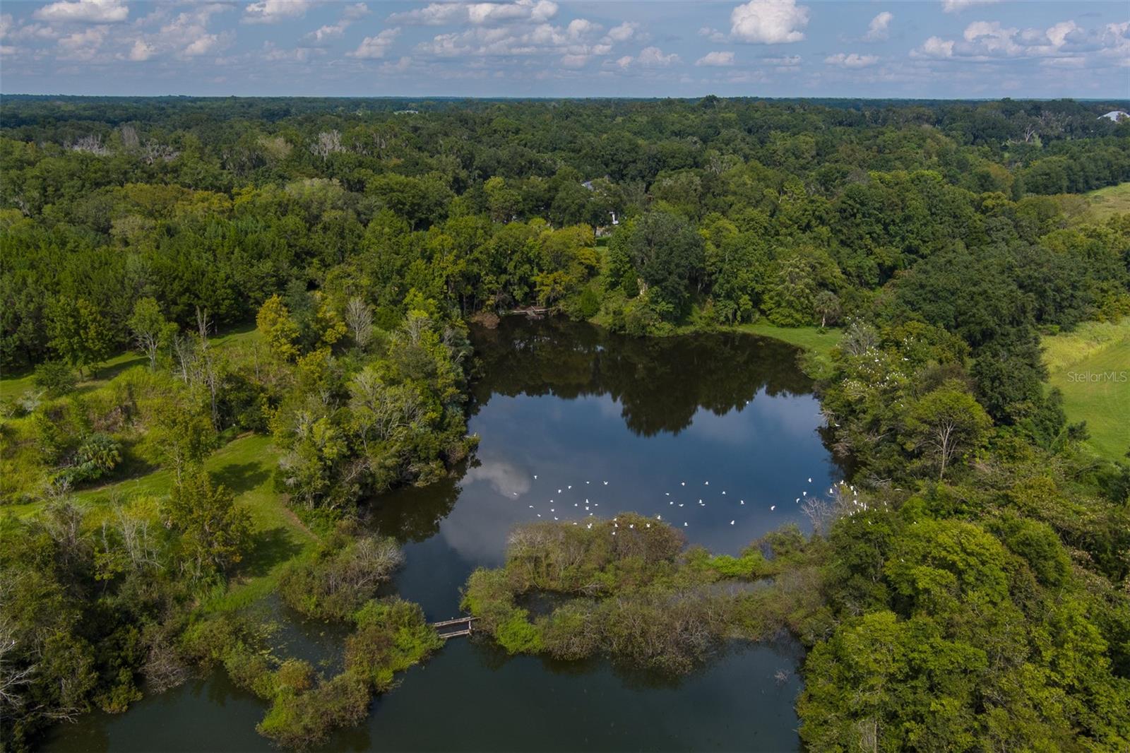 15607 SE 47TH AVE, SUMMERFIELD, FL, 34491