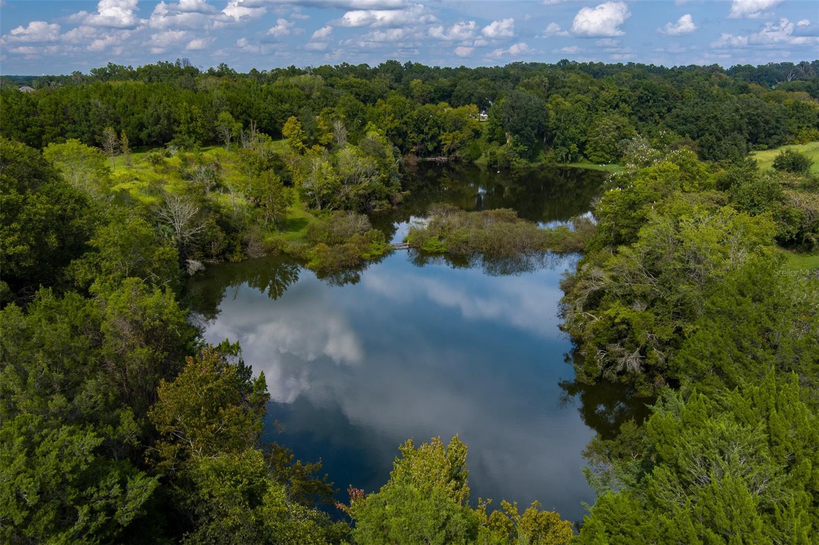 15607 SE 47TH AVE, SUMMERFIELD, FL, 34491