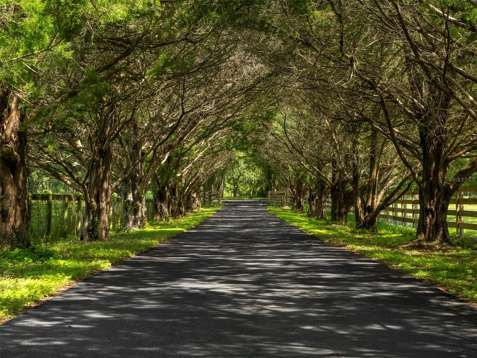 15607 SE 47TH AVE, SUMMERFIELD, FL, 34491