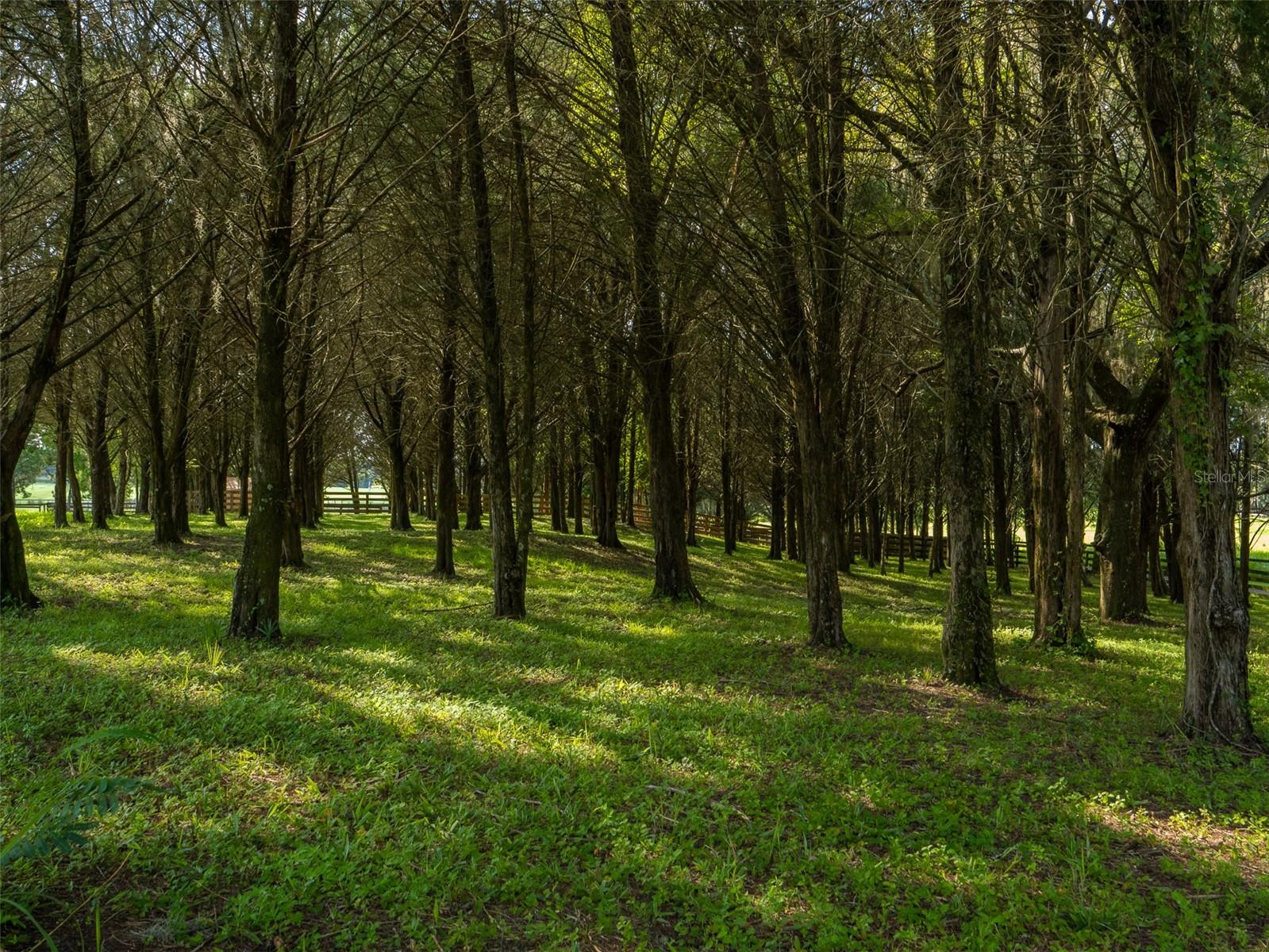 15607 SE 47TH AVE, SUMMERFIELD, FL, 34491