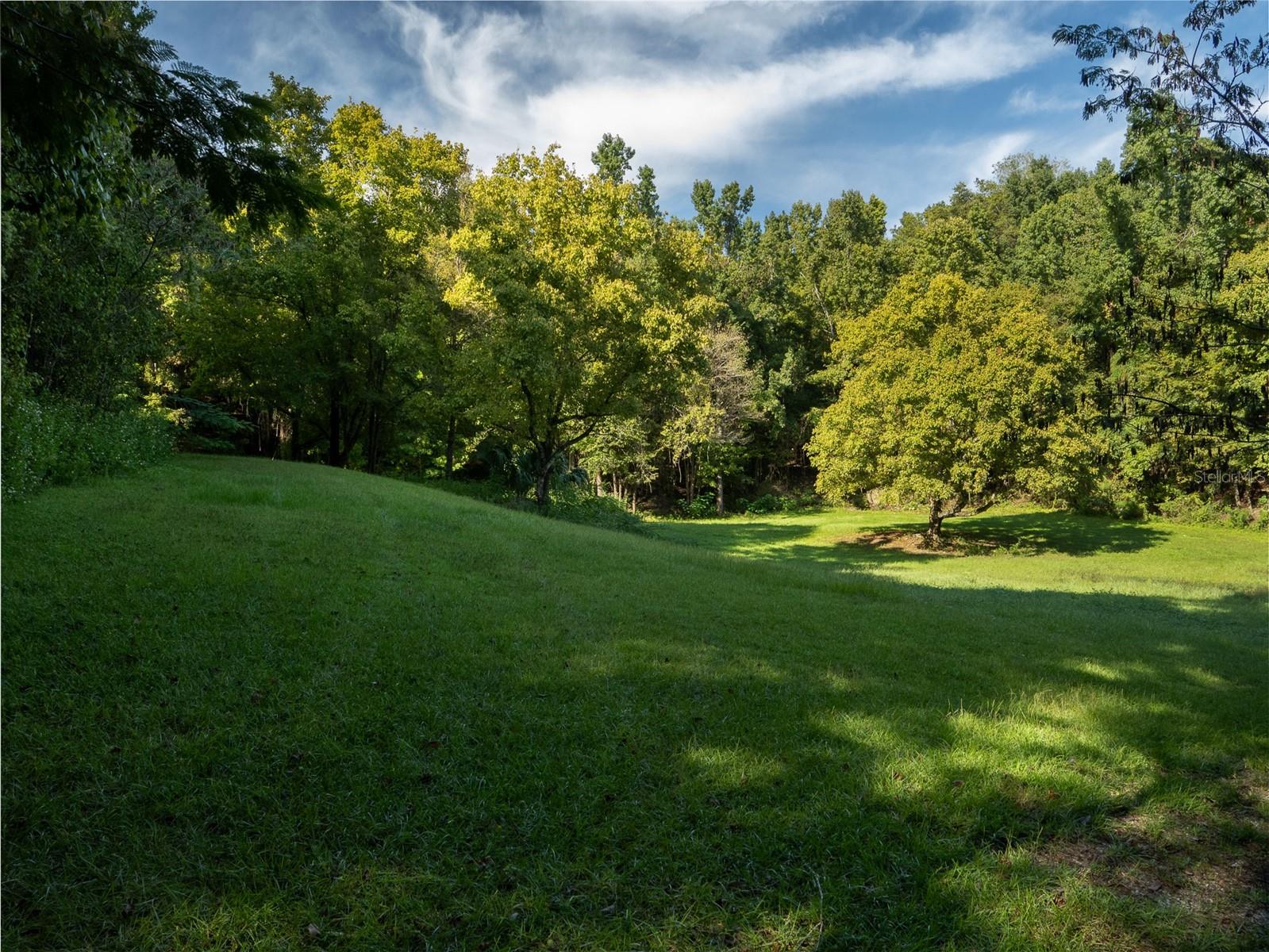 15607 SE 47TH AVE, SUMMERFIELD, FL, 34491