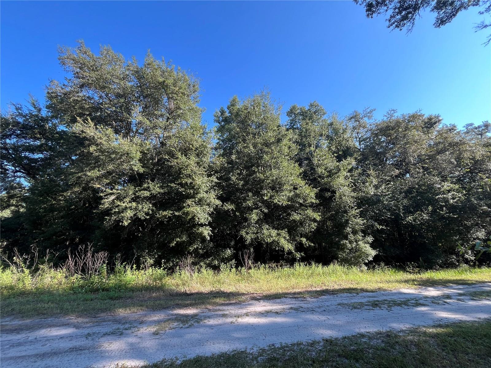 139TH CT, DUNNELLON, FL, 34432