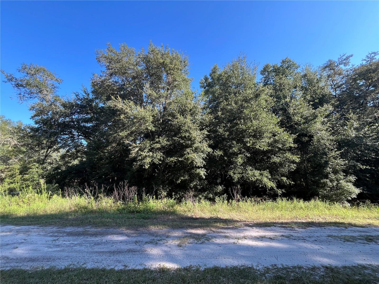 139TH CT, DUNNELLON, FL, 34432