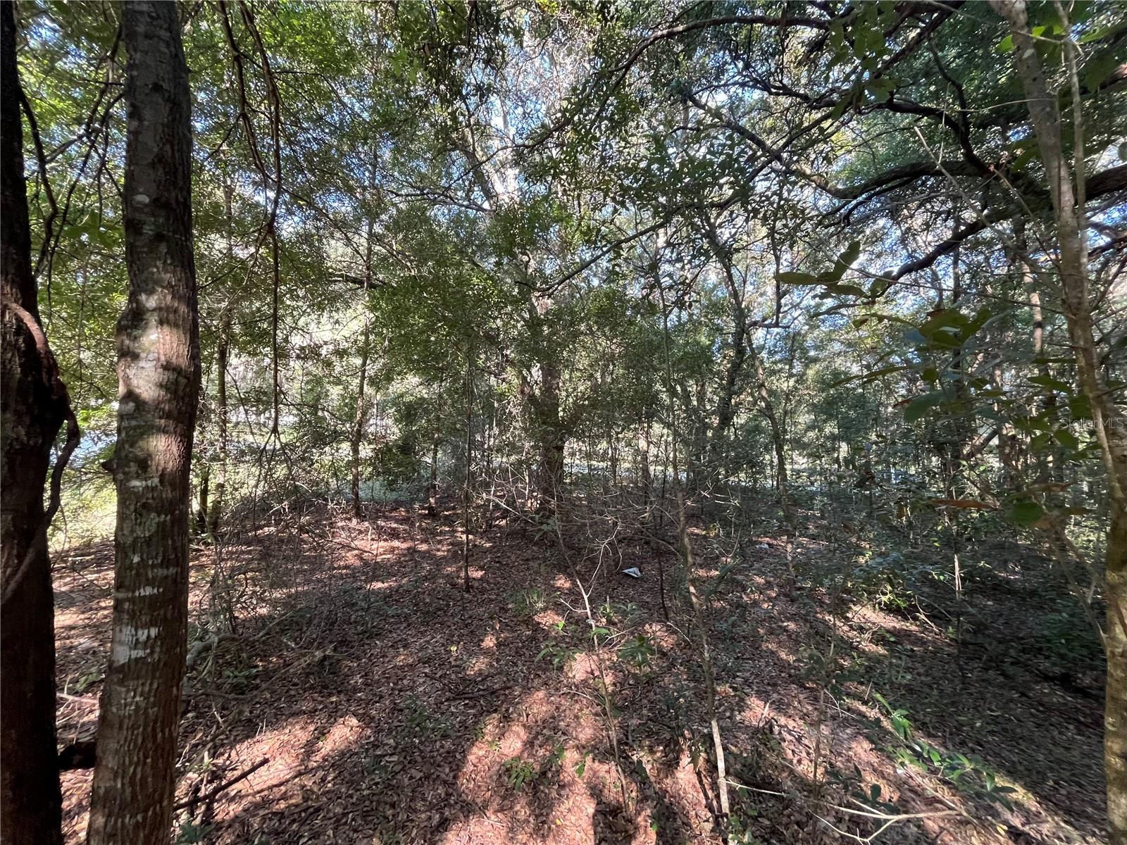 139TH CT, DUNNELLON, FL, 34432