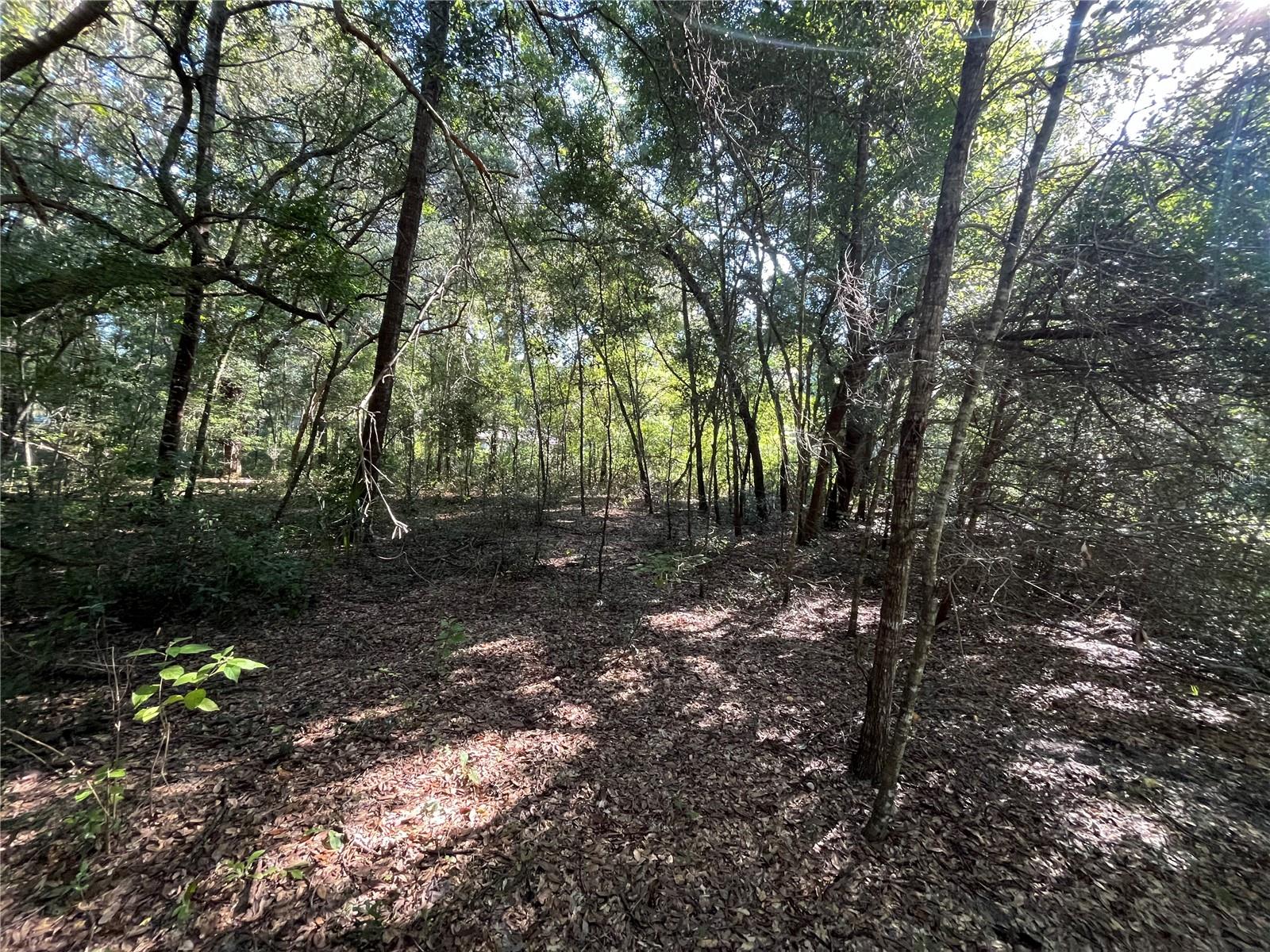 139TH CT, DUNNELLON, FL, 34432