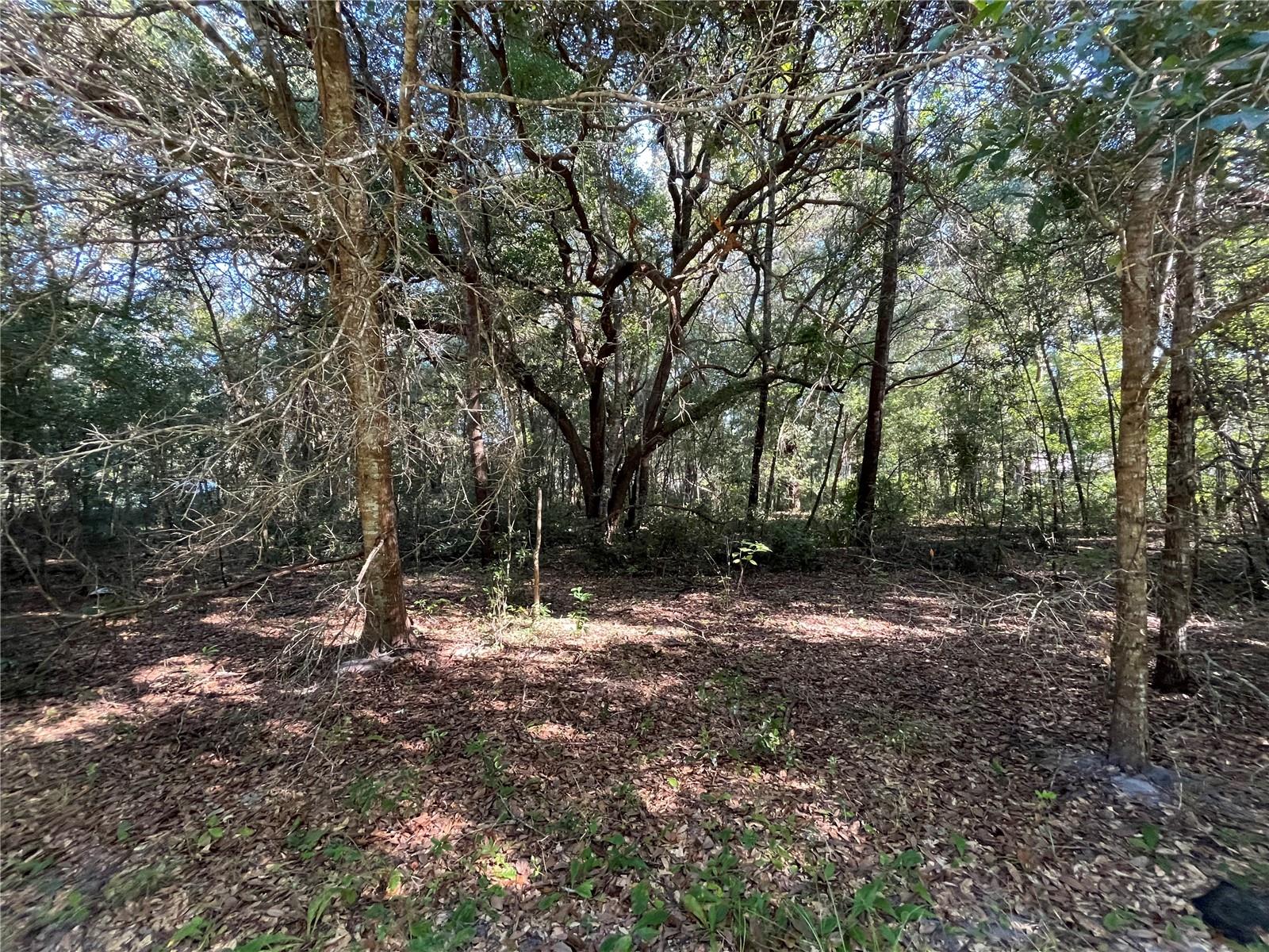 139TH CT, DUNNELLON, FL, 34432