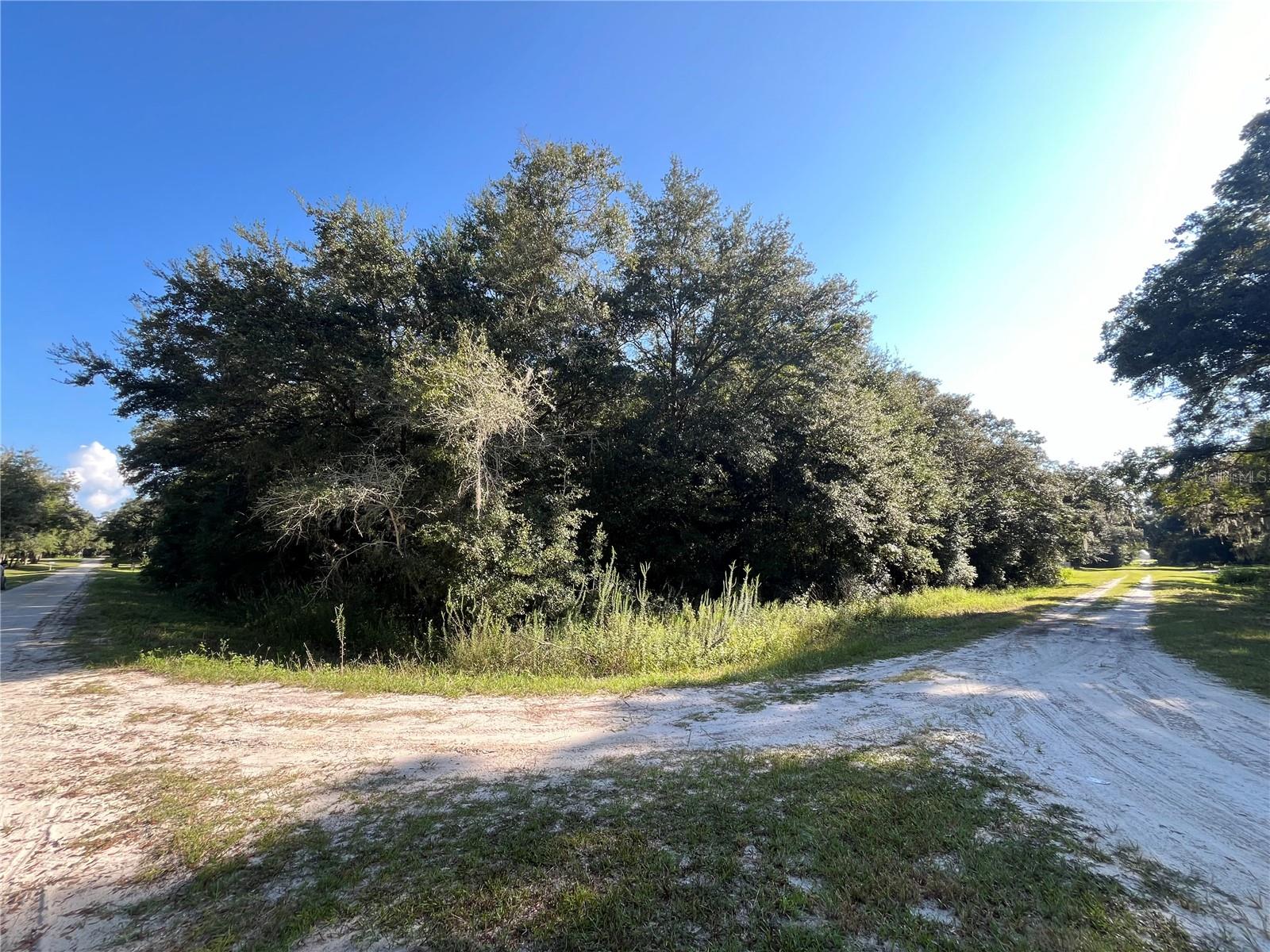 139TH CT, DUNNELLON, FL, 34432