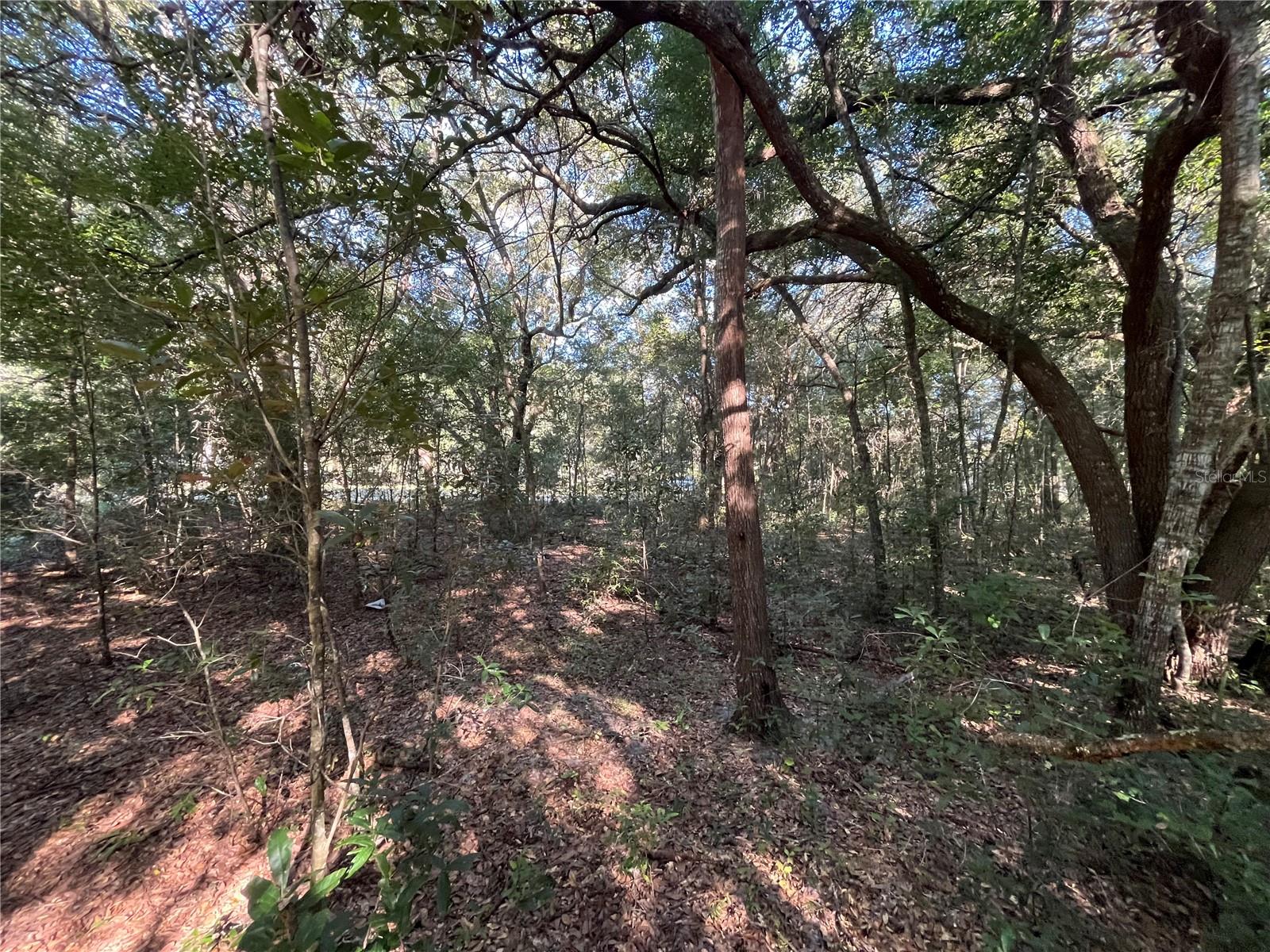 139TH CT, DUNNELLON, FL, 34432