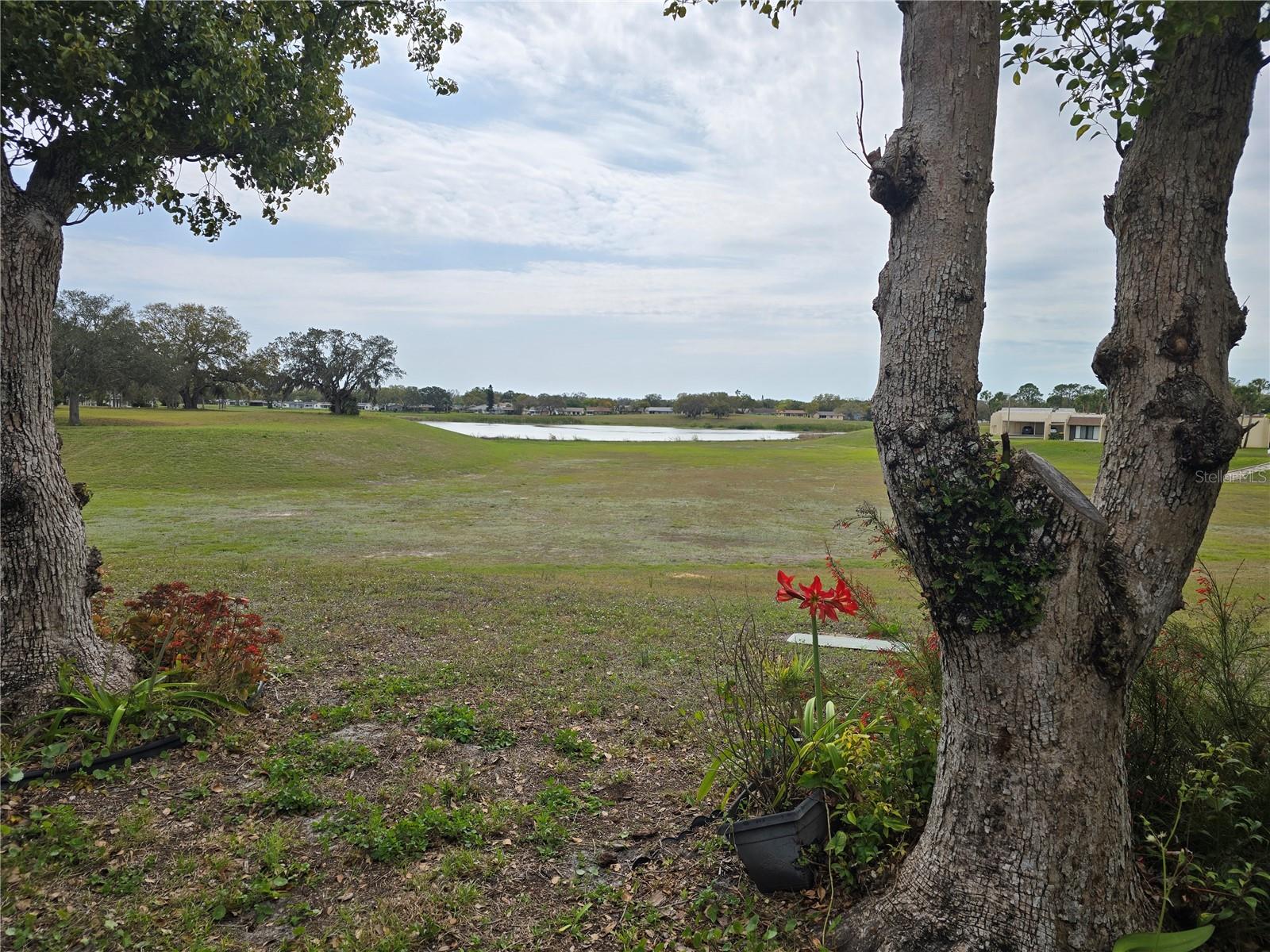 11241 DOLLAR LAKE DR #4, PORT RICHEY, FL, 34668