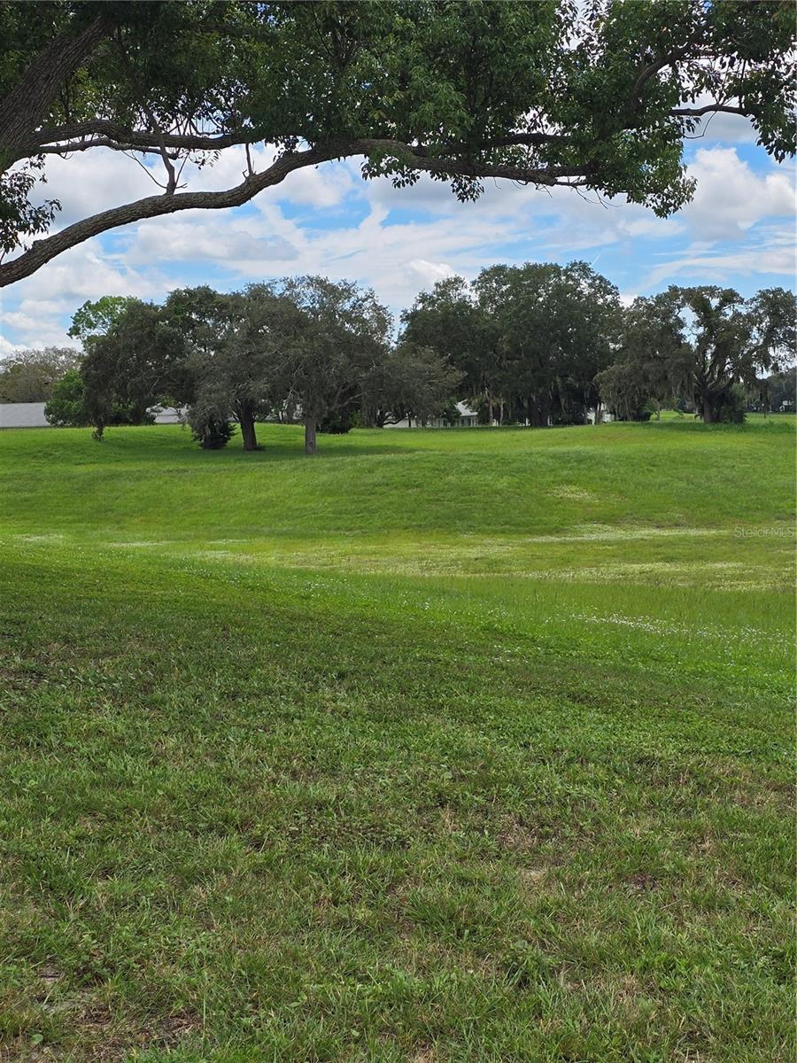 11241 DOLLAR LAKE DR #4, PORT RICHEY, FL, 34668