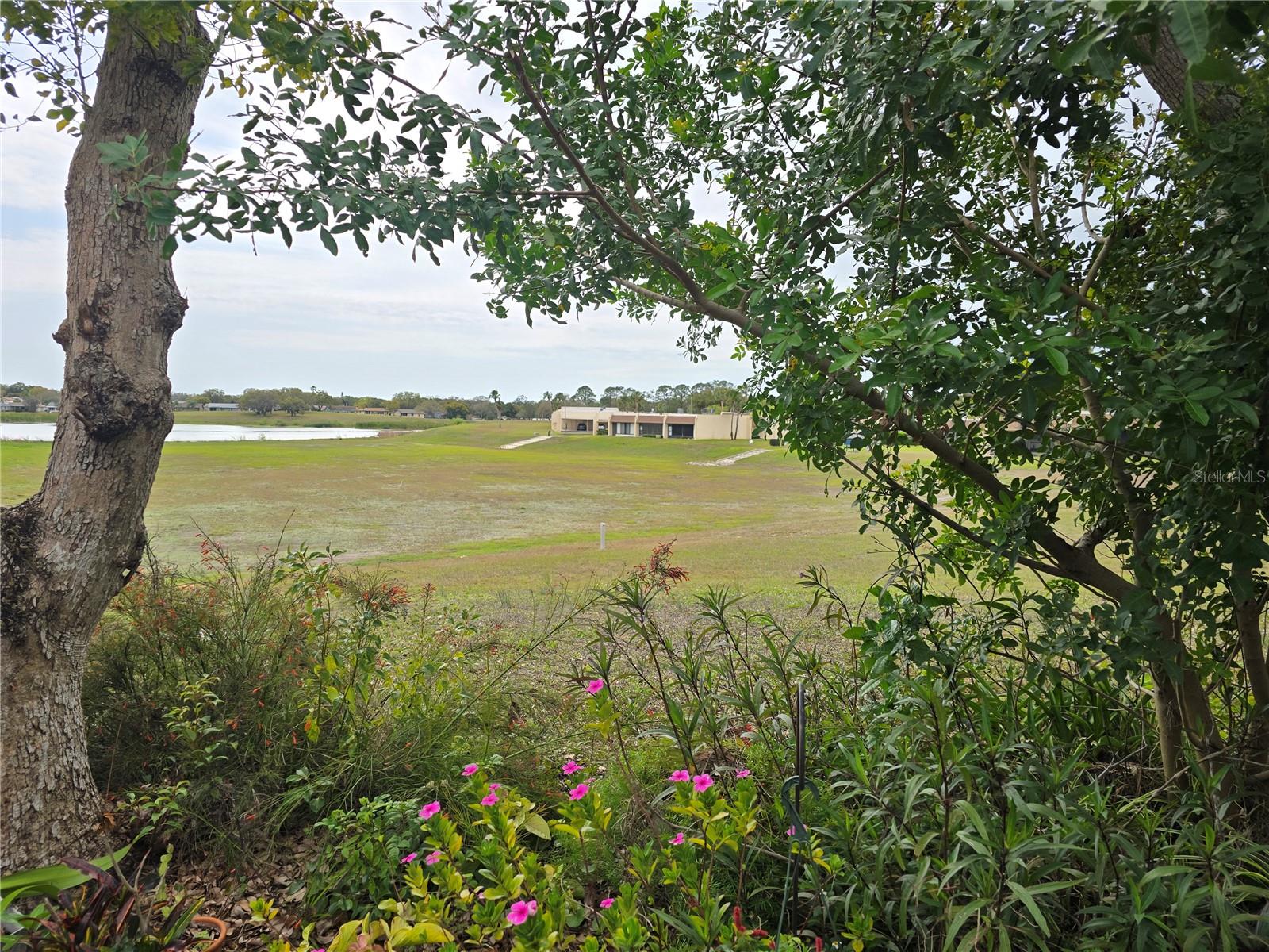 11241 DOLLAR LAKE DR #4, PORT RICHEY, FL, 34668