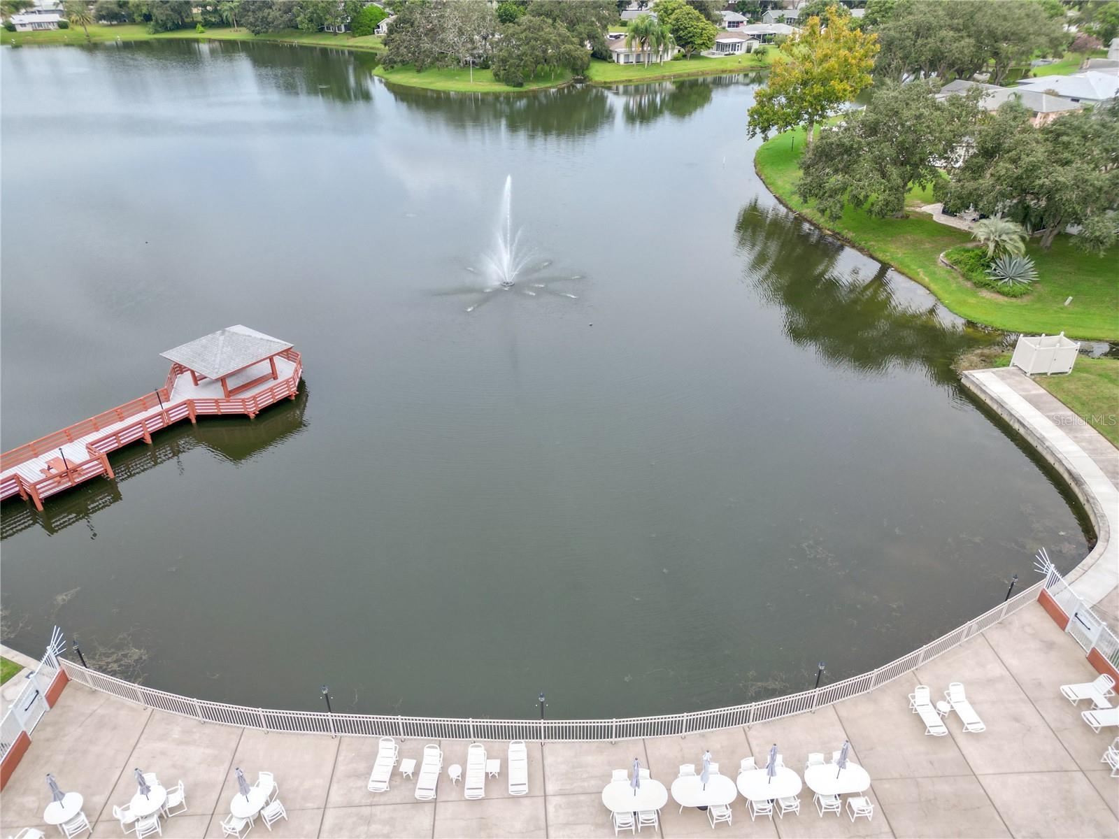 11241 DOLLAR LAKE DR #4, PORT RICHEY, FL, 34668