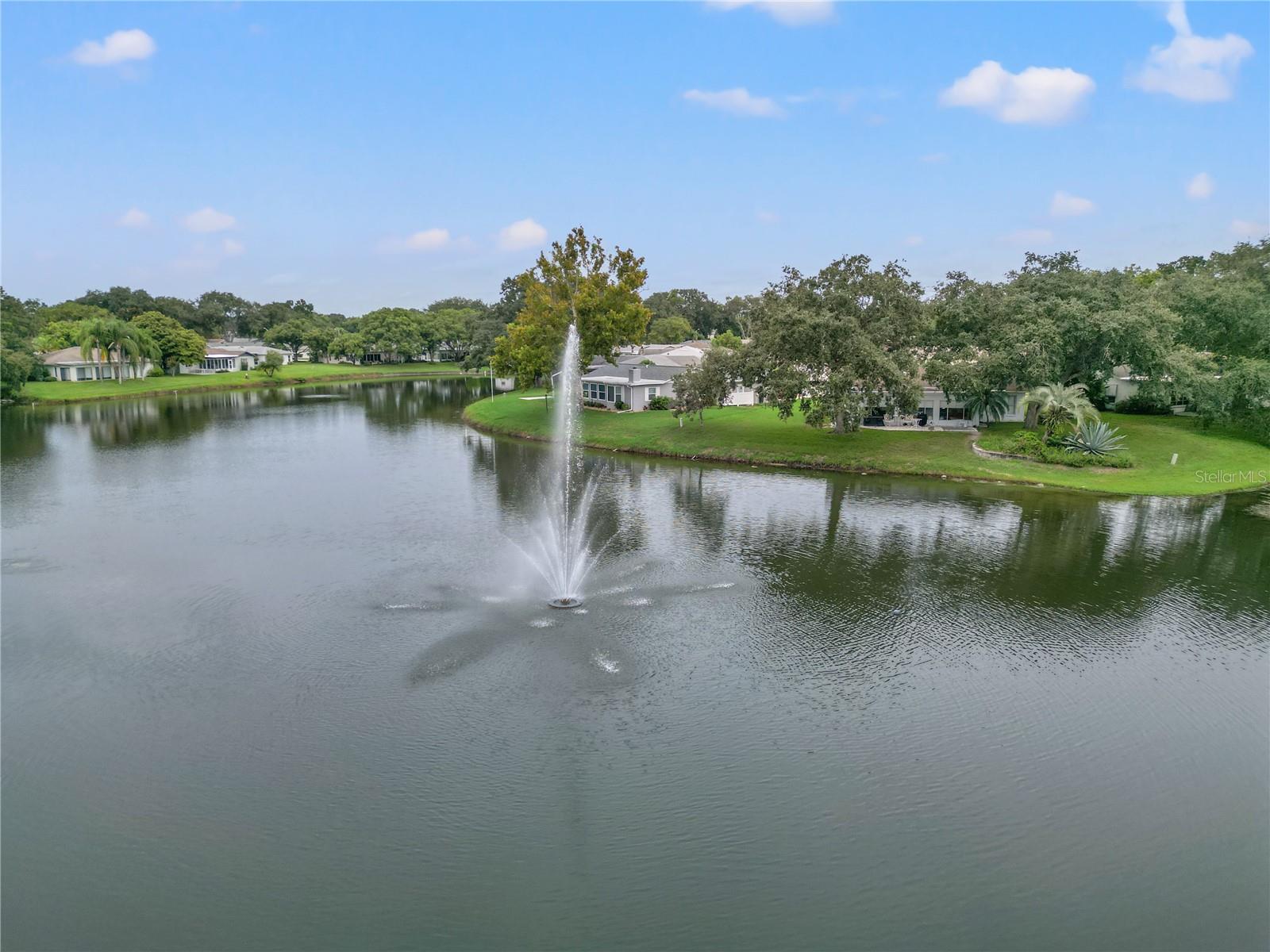 11241 DOLLAR LAKE DR #4, PORT RICHEY, FL, 34668