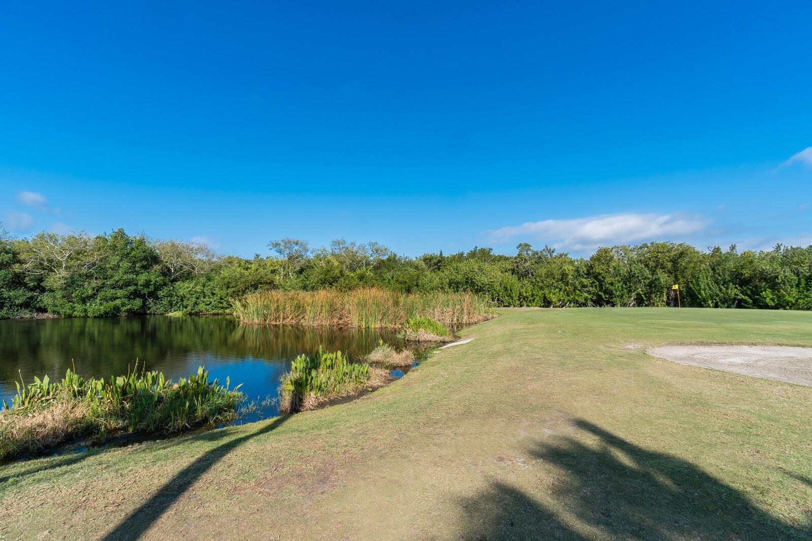 2407 WATERFORD CT, PALMETTO, FL, 34221