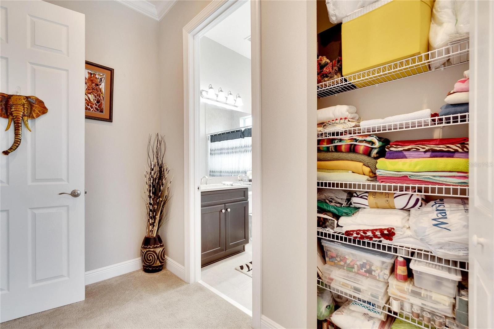 16005 CAPE CORAL DR, WIMAUMA, FL, 33598