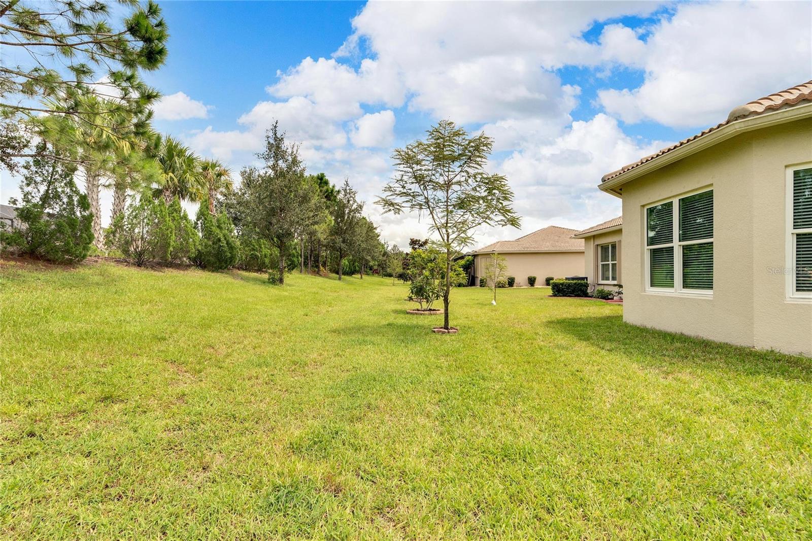 16005 CAPE CORAL DR, WIMAUMA, FL, 33598
