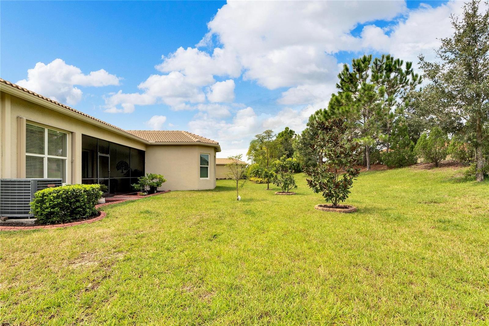 16005 CAPE CORAL DR, WIMAUMA, FL, 33598