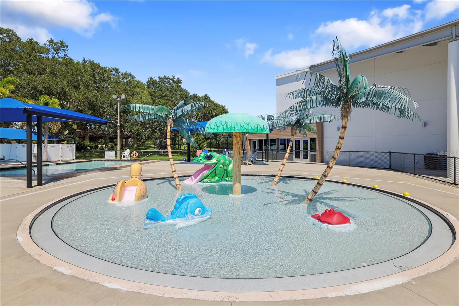 2553 HARN BLVD #5, CLEARWATER, FL, 33764