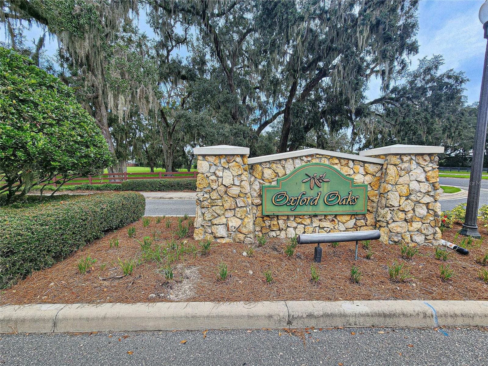 11365 ZIMMERMAN PATH, OXFORD, FL, 34484