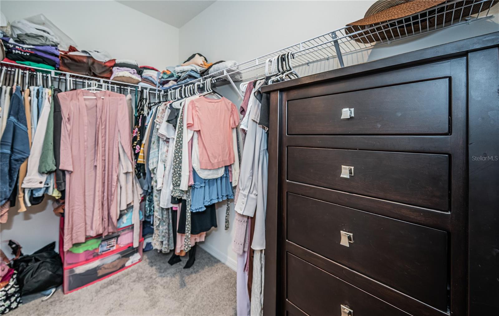 8367 ENDER HILLS DR, WESLEY CHAPEL, FL, 33545