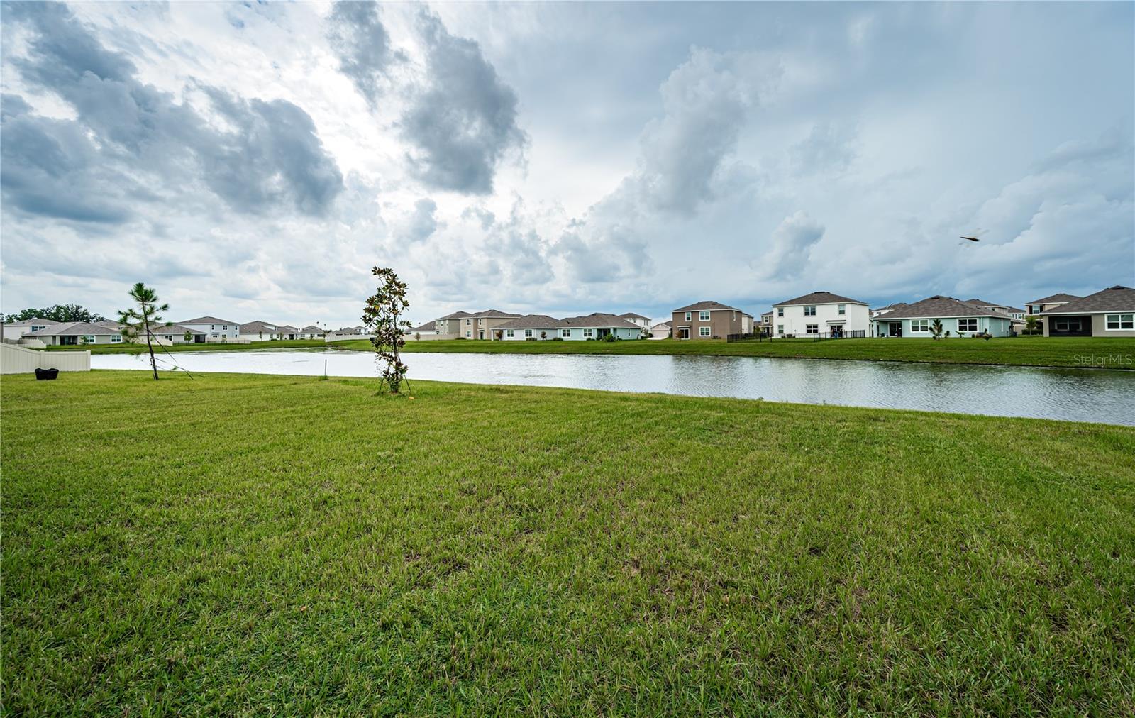 8367 ENDER HILLS DR, WESLEY CHAPEL, FL, 33545