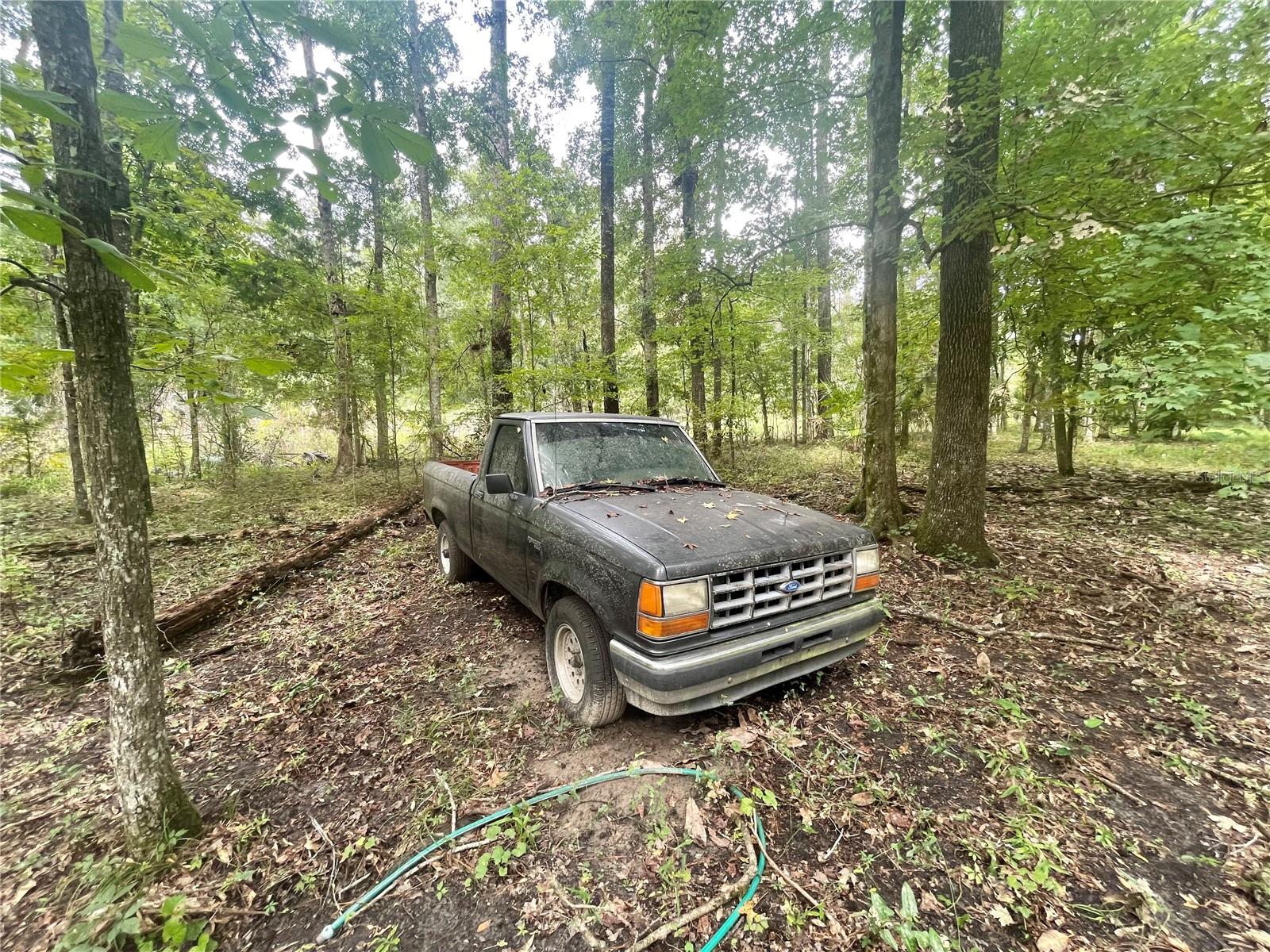 18668 NW 146TH AVE, WILLISTON, FL, 32696