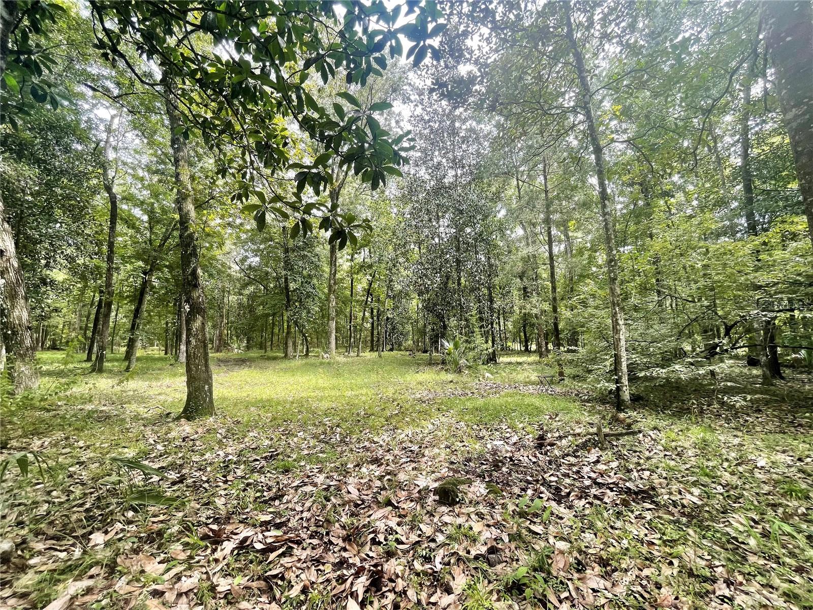 18668 NW 146TH AVE, WILLISTON, FL, 32696