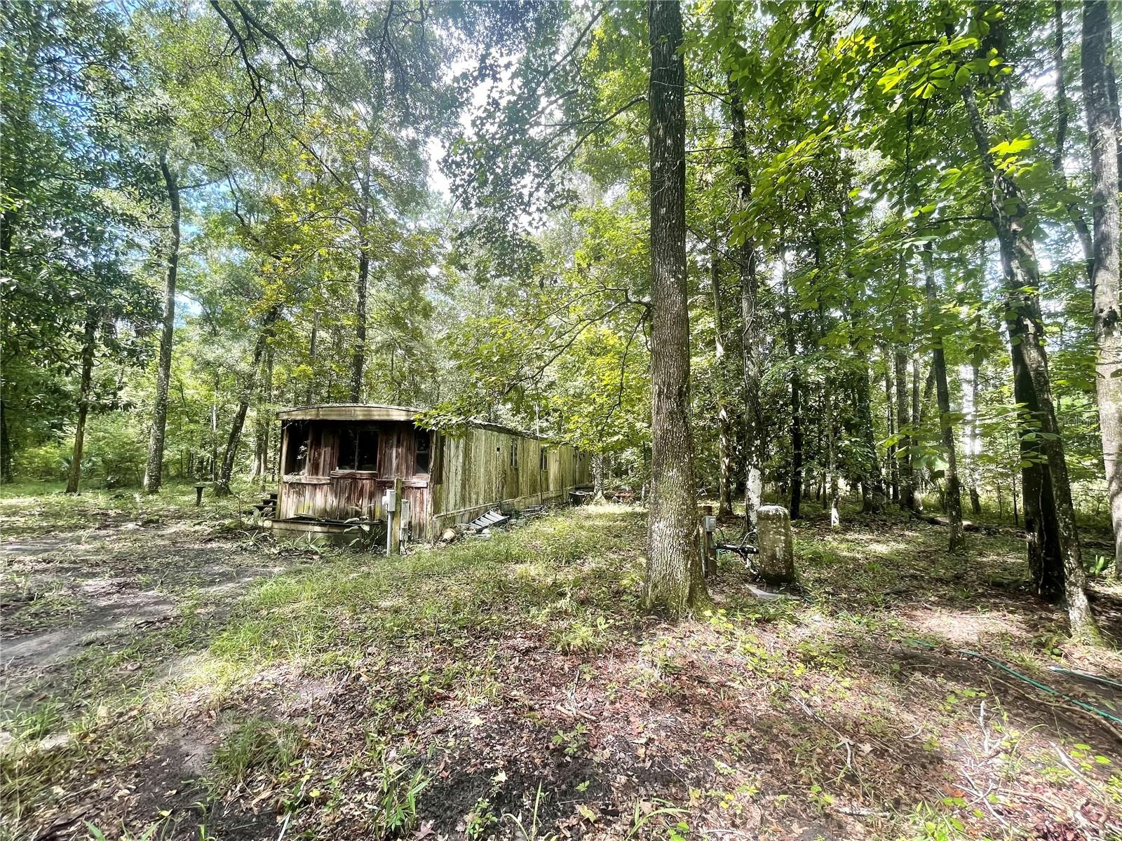 18668 NW 146TH AVE, WILLISTON, FL, 32696