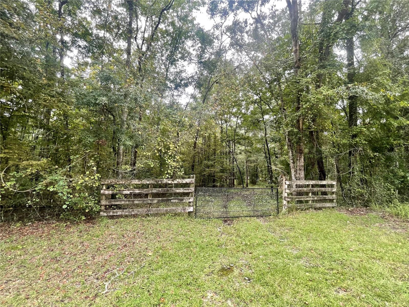 18668 NW 146TH AVE, WILLISTON, FL, 32696