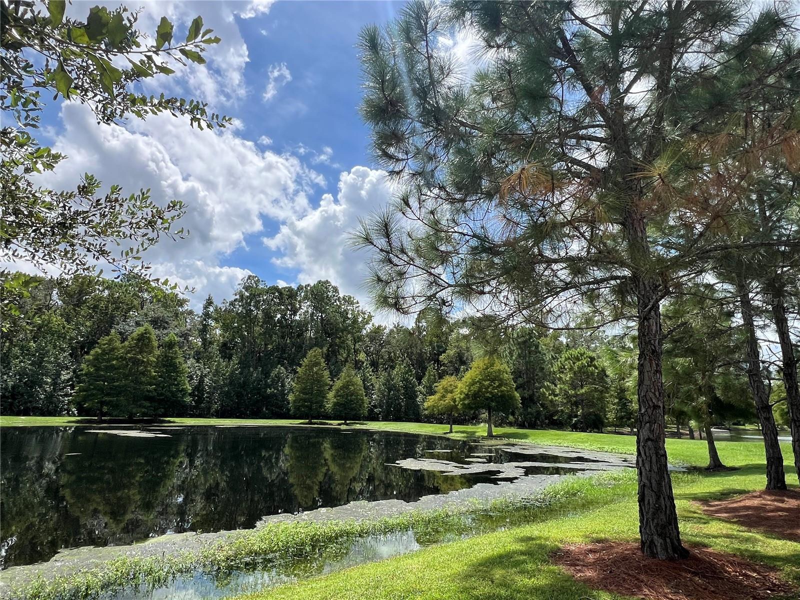 1366 PONCE DR, CELEBRATION, FL, 34747