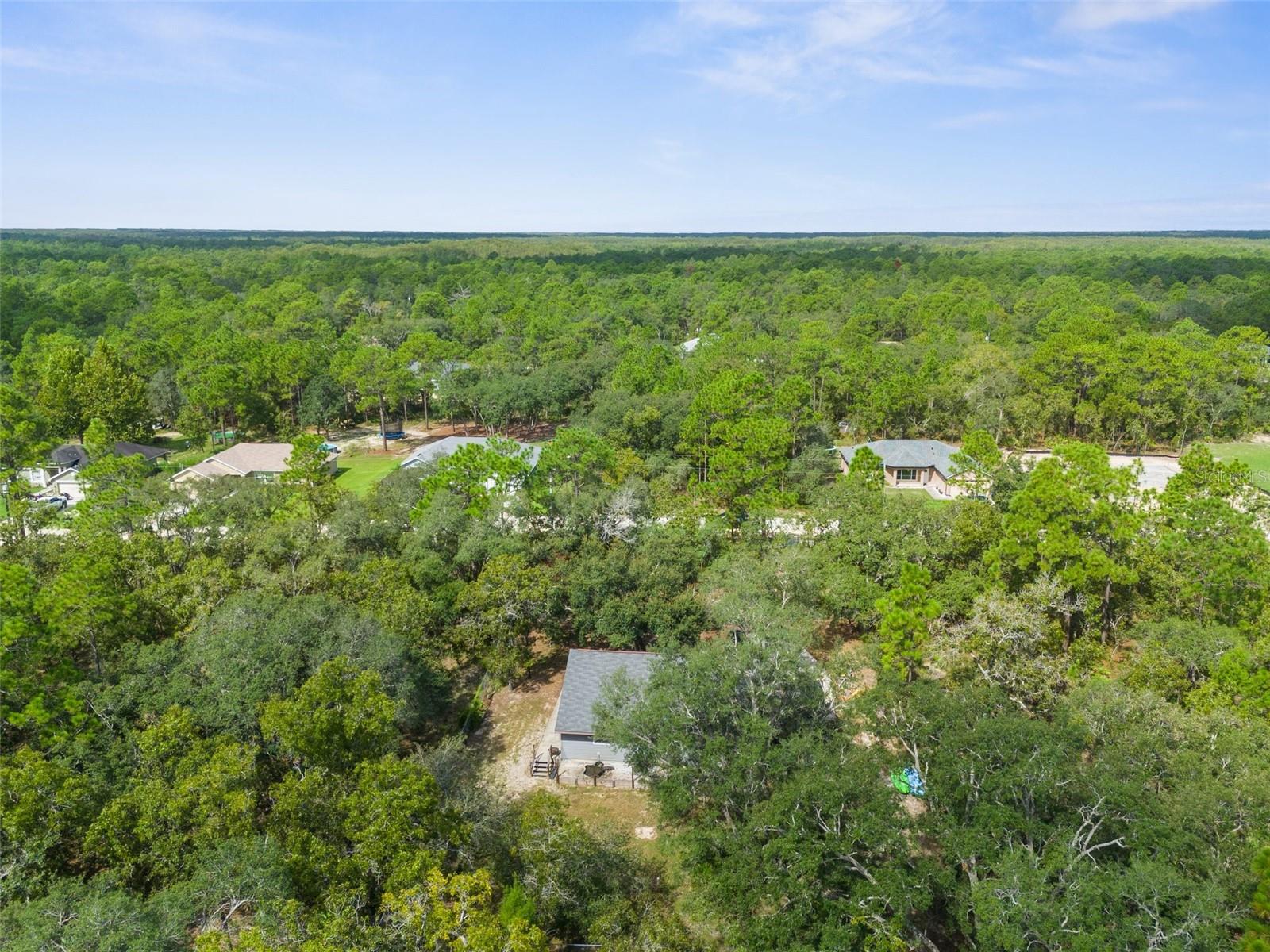 15236 MOTTLED OWL RD, BROOKSVILLE, FL, 34614