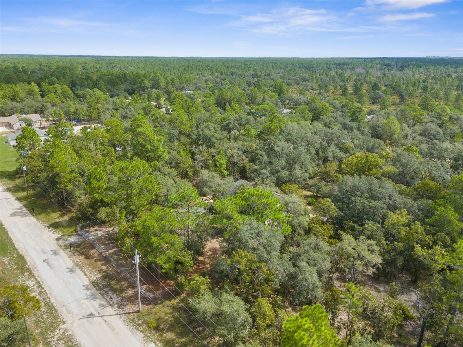 15236 MOTTLED OWL RD, BROOKSVILLE, FL, 34614