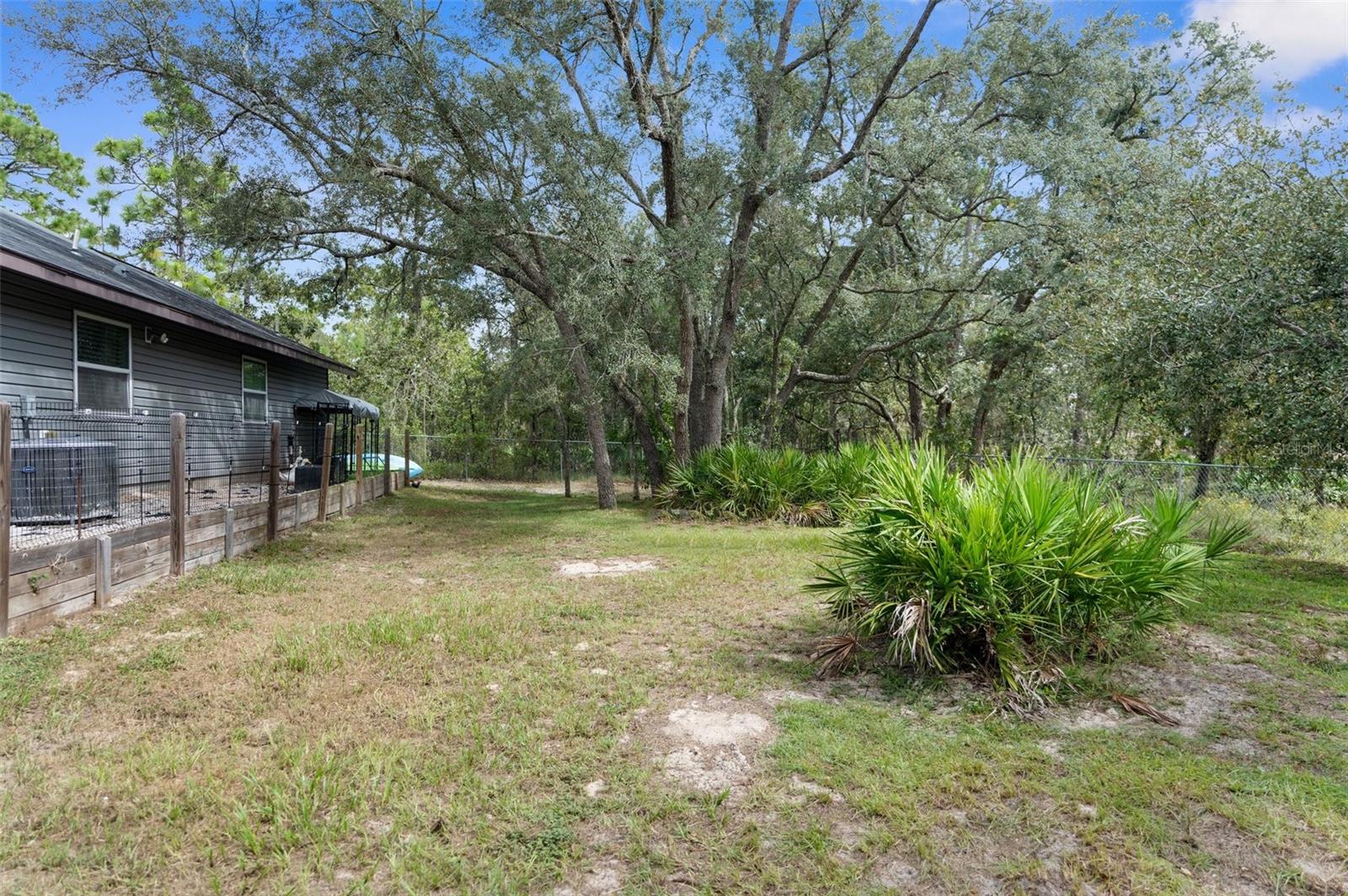 15236 MOTTLED OWL RD, BROOKSVILLE, FL, 34614
