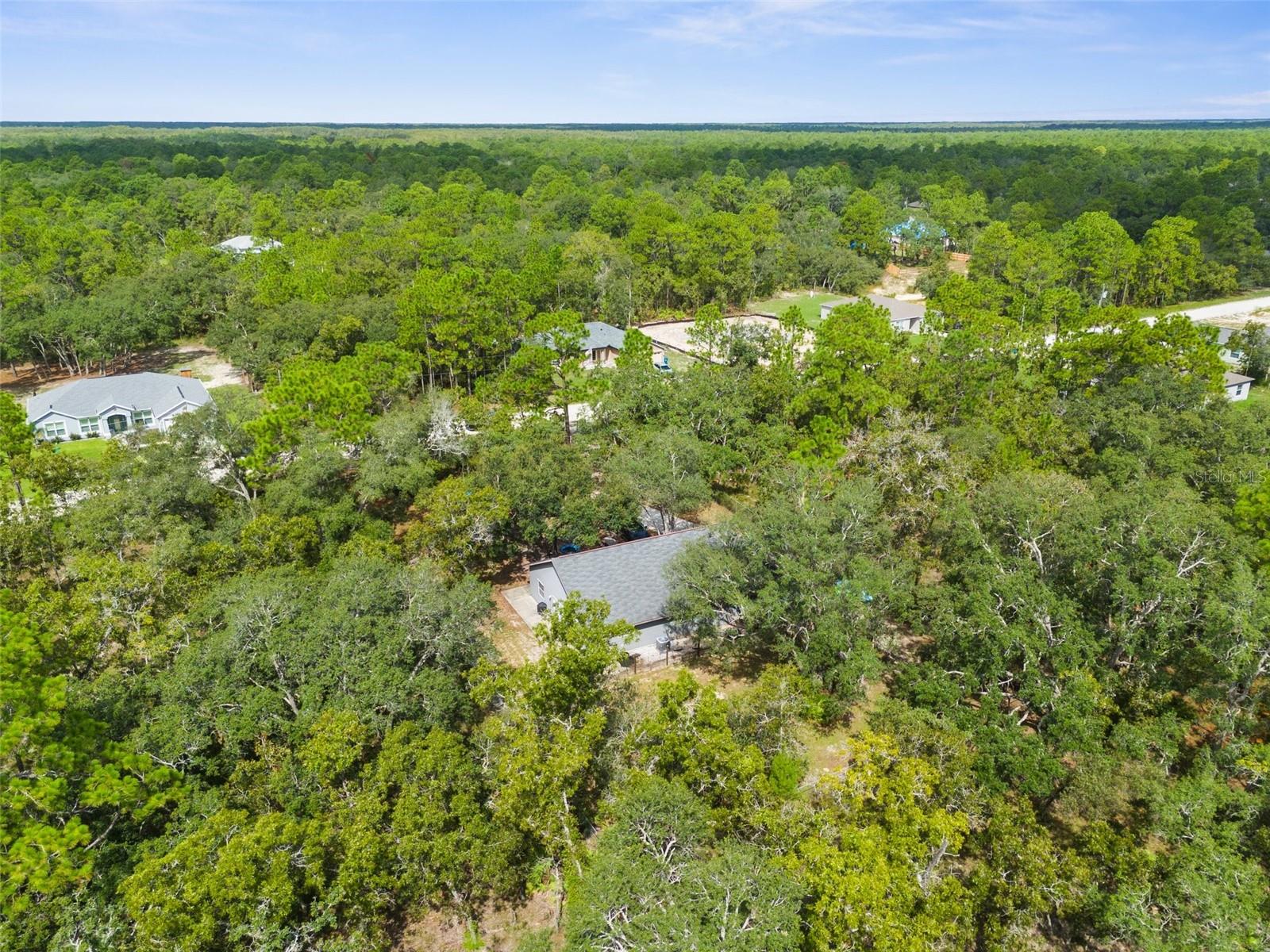 15236 MOTTLED OWL RD, BROOKSVILLE, FL, 34614