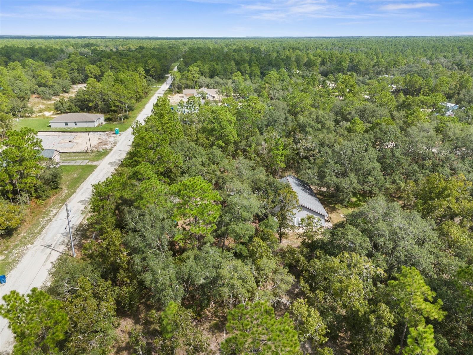 15236 MOTTLED OWL RD, BROOKSVILLE, FL, 34614