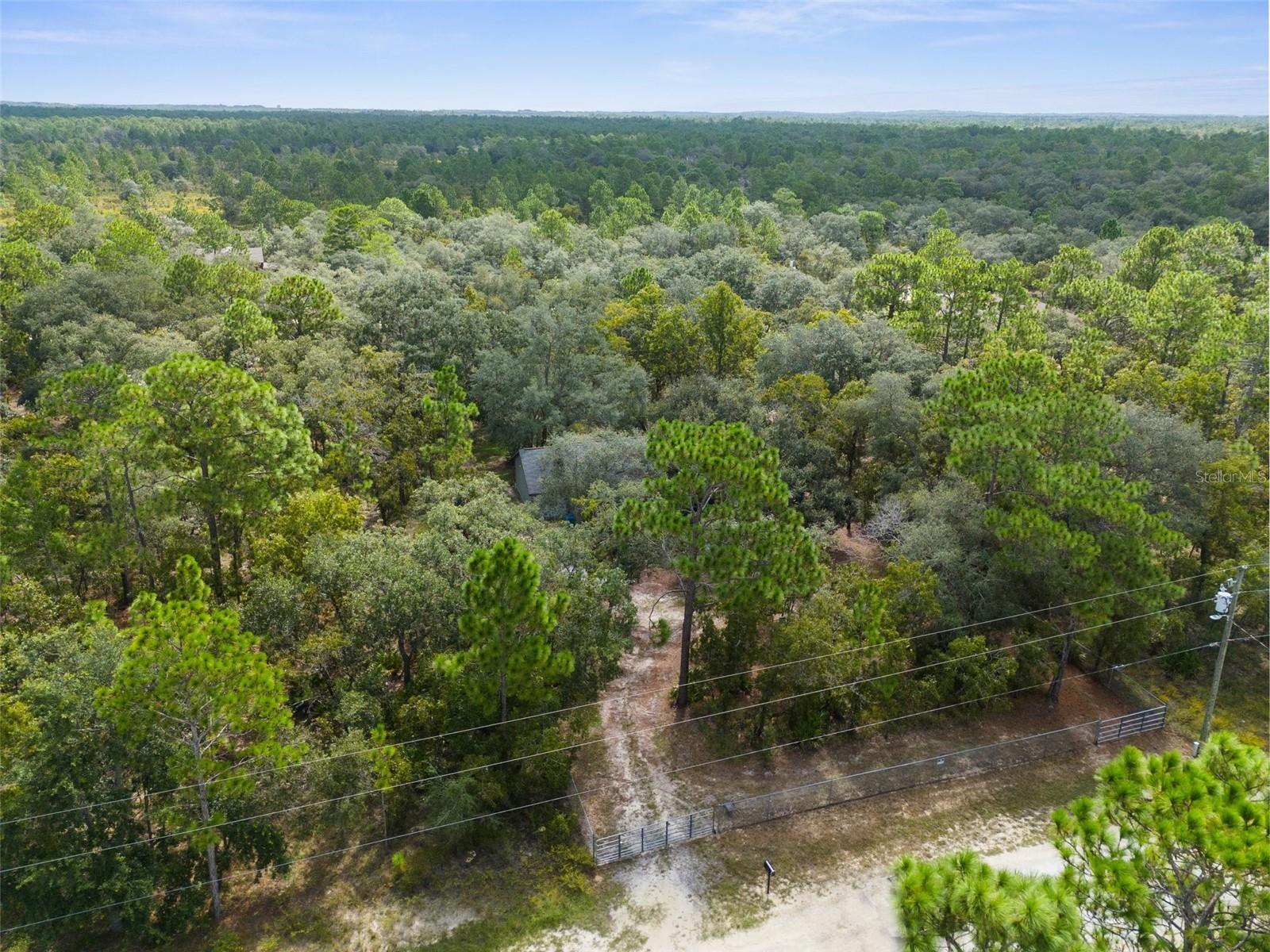 15236 MOTTLED OWL RD, BROOKSVILLE, FL, 34614