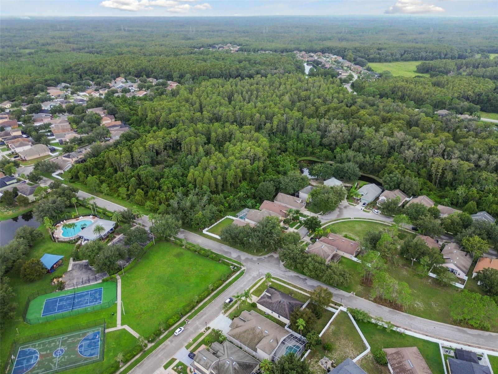 10812 DEERBERRY DR, LAND O LAKES, FL, 34638