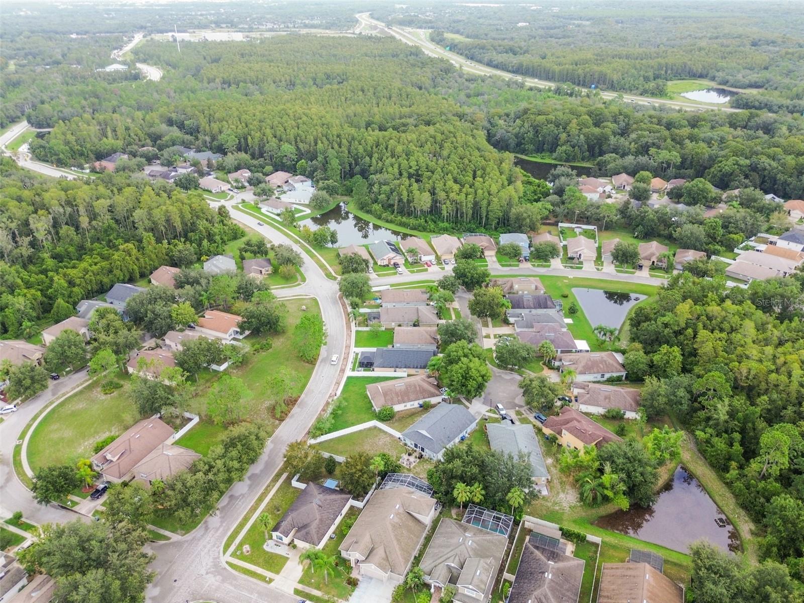 10812 DEERBERRY DR, LAND O LAKES, FL, 34638
